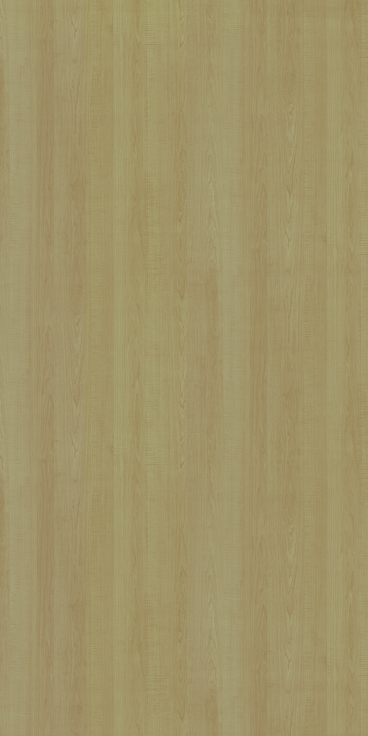 2017 SF ALBERTO MAPLE Beige Wood Suede Laminate - AmulyaMica