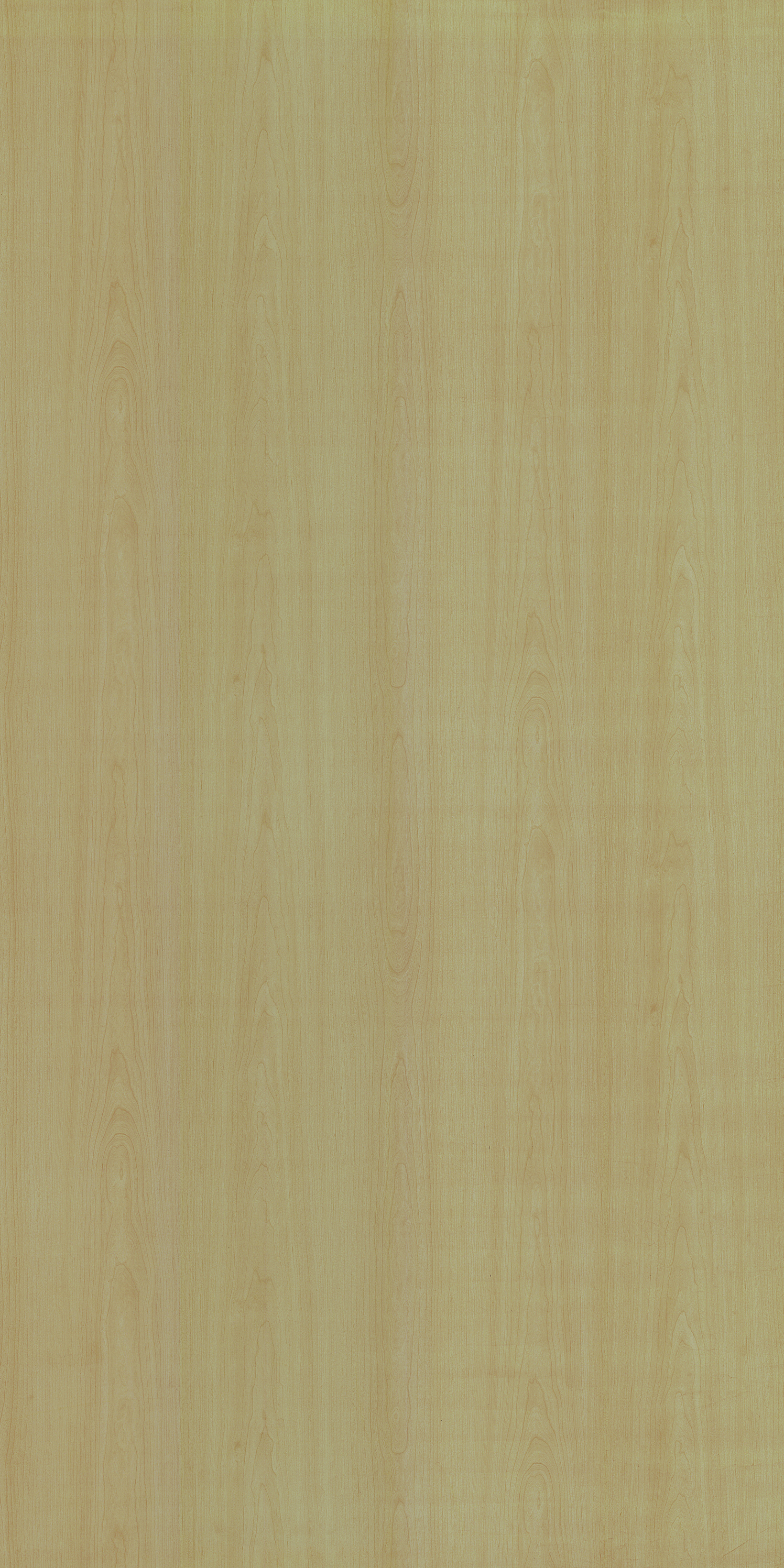 2026 SF FUSION MAPLE Beige Wood Suede Laminate - AmulyaMica