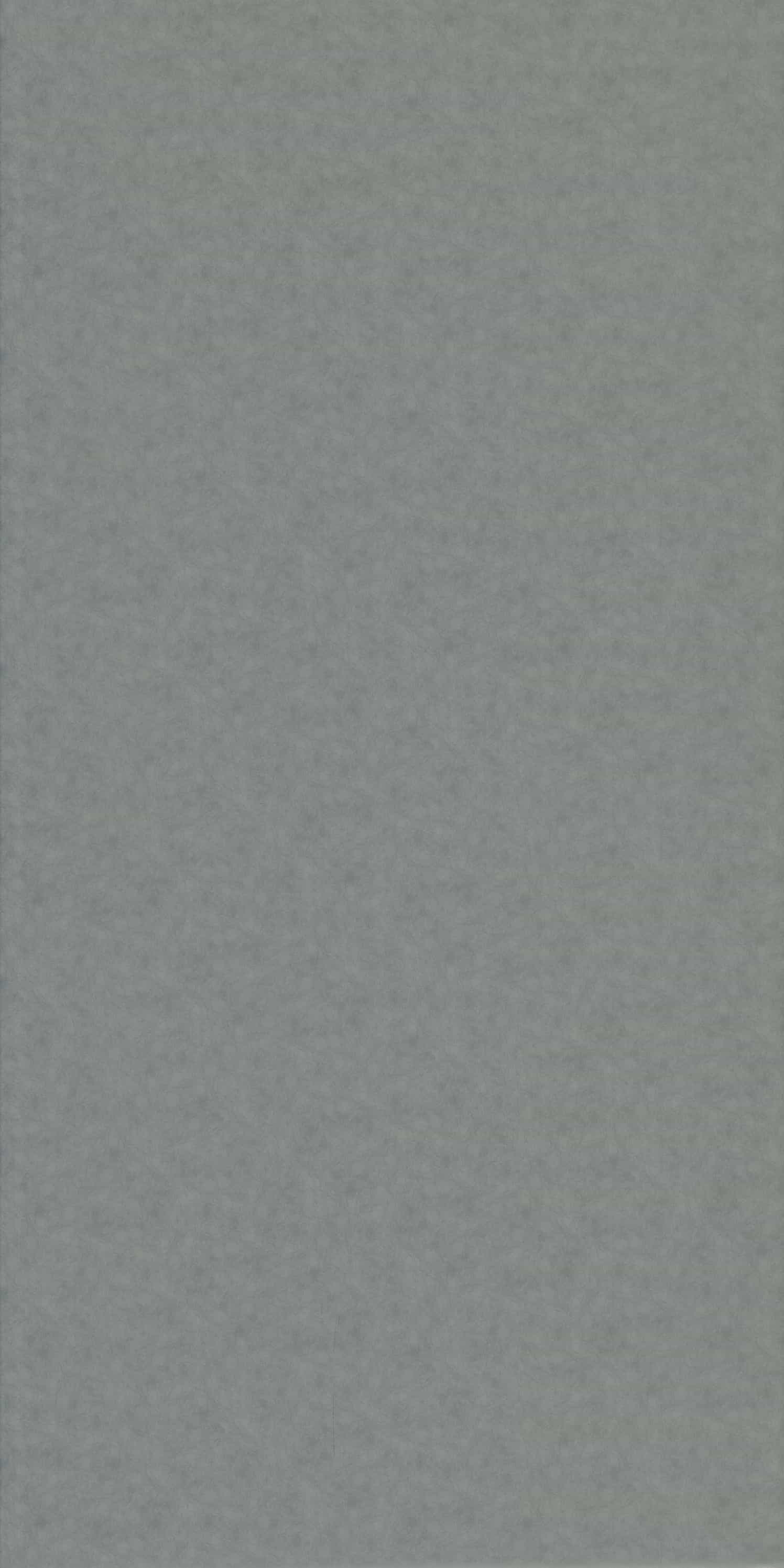 LX2061 Grey Plain Colors Gloss Laminate - AmulyaMica