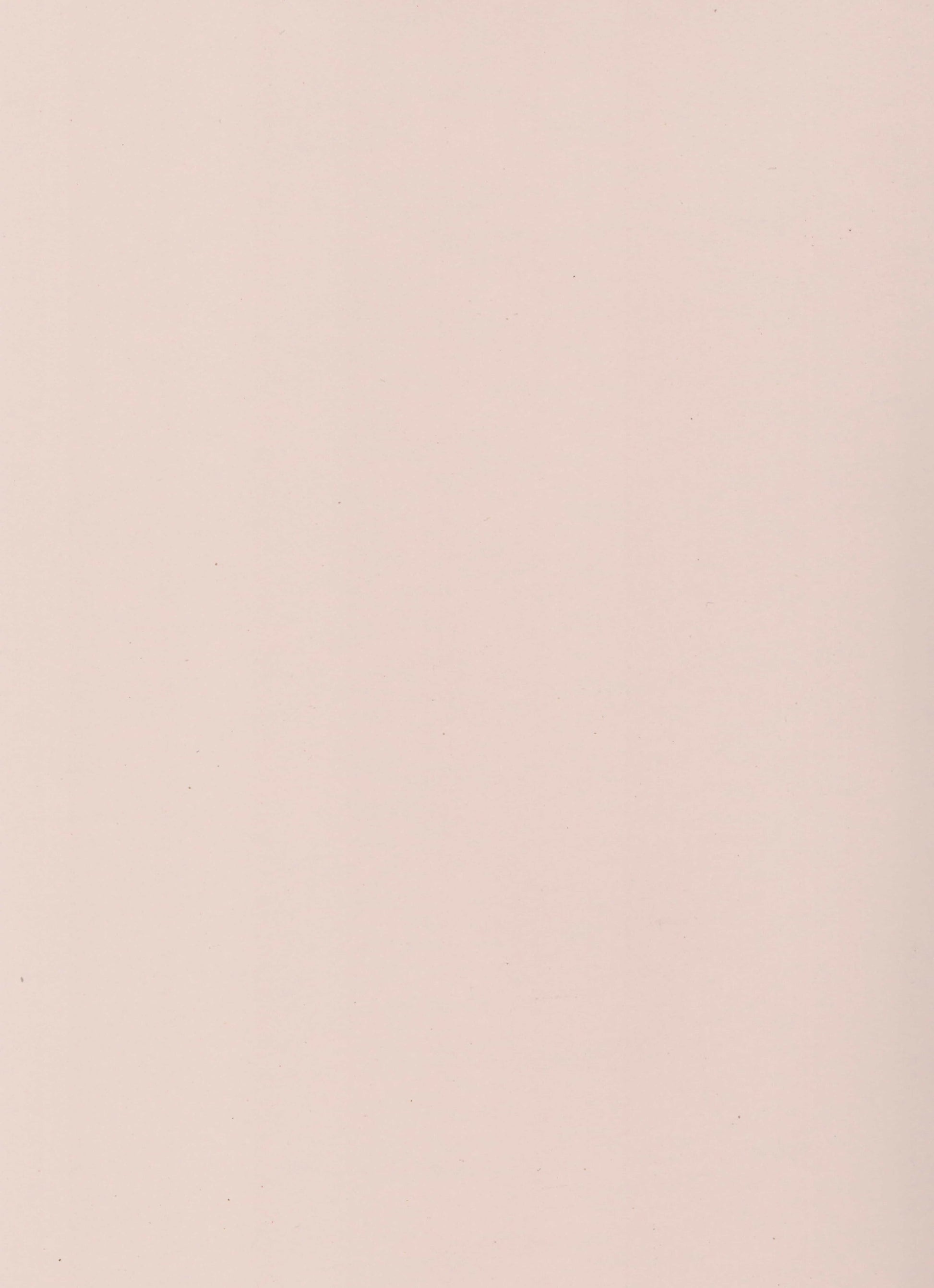 210270 AS IRISH CREAM Ivory Plain Colors Gloss Laminate - AmulyaMica