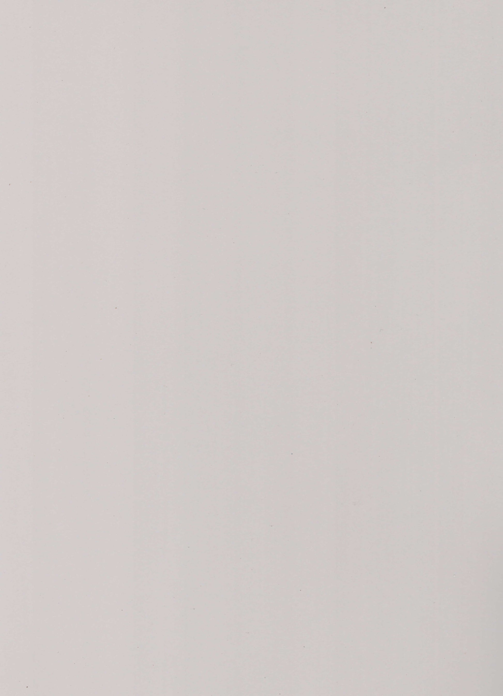 213210 AS PUMIC GREY White Plain Colors Gloss Laminate - AmulyaMica
