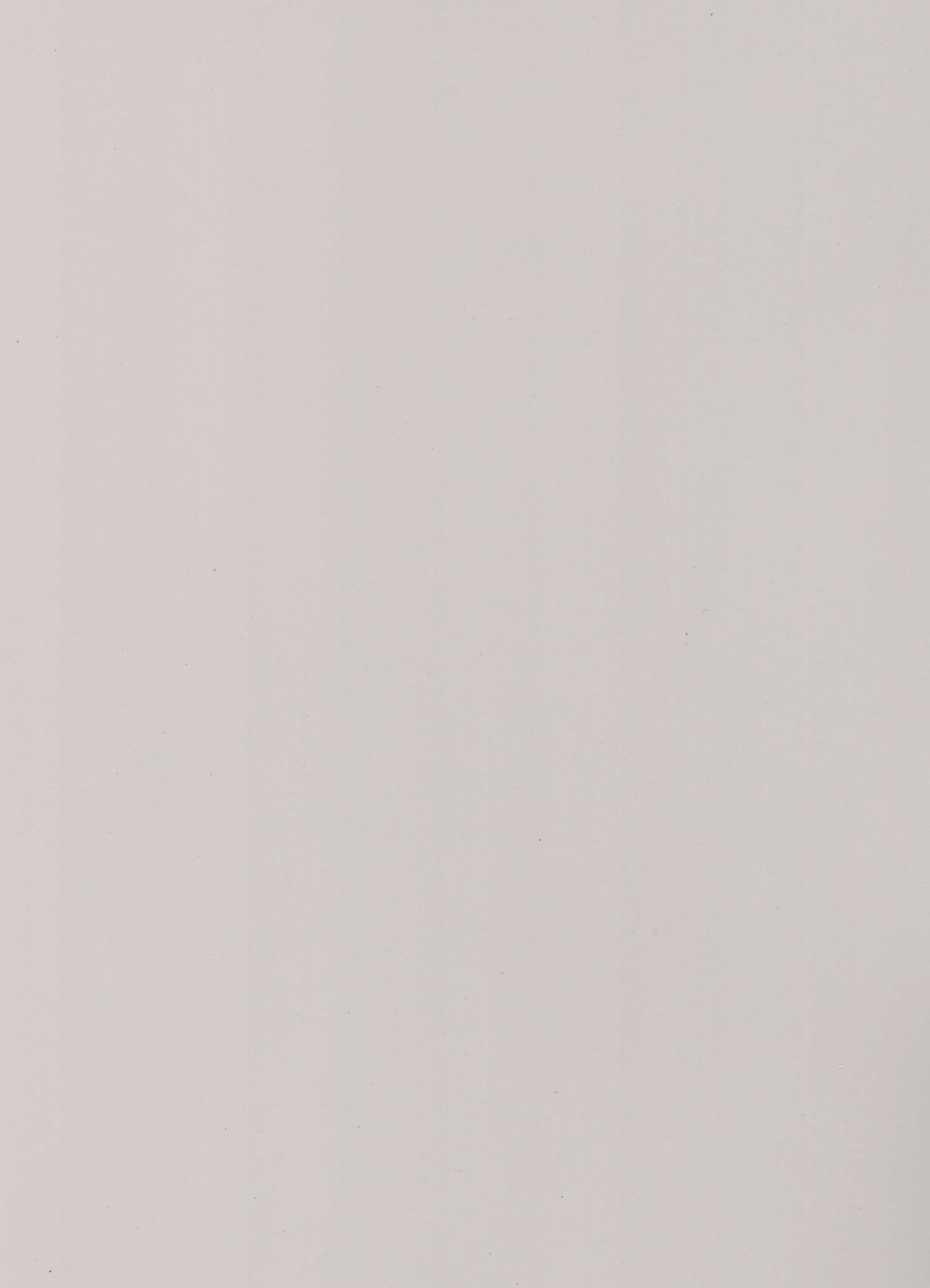 213210 AS PUMIC GREY White Plain Colors Gloss Laminate - AmulyaMica