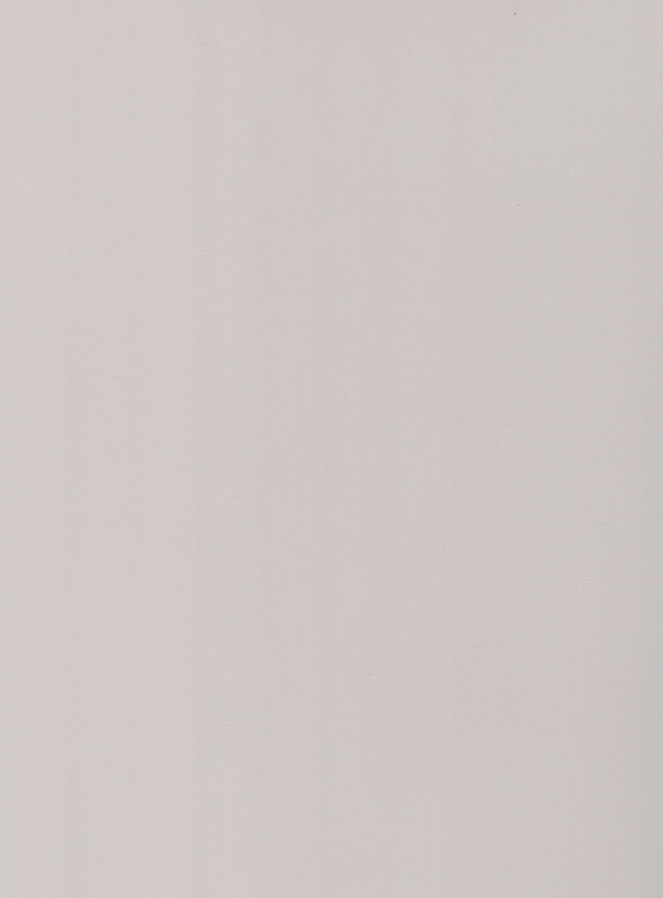 213210 ASUM PUMIC GREY White Plain Colors Gloss Laminate - AmulyaMica