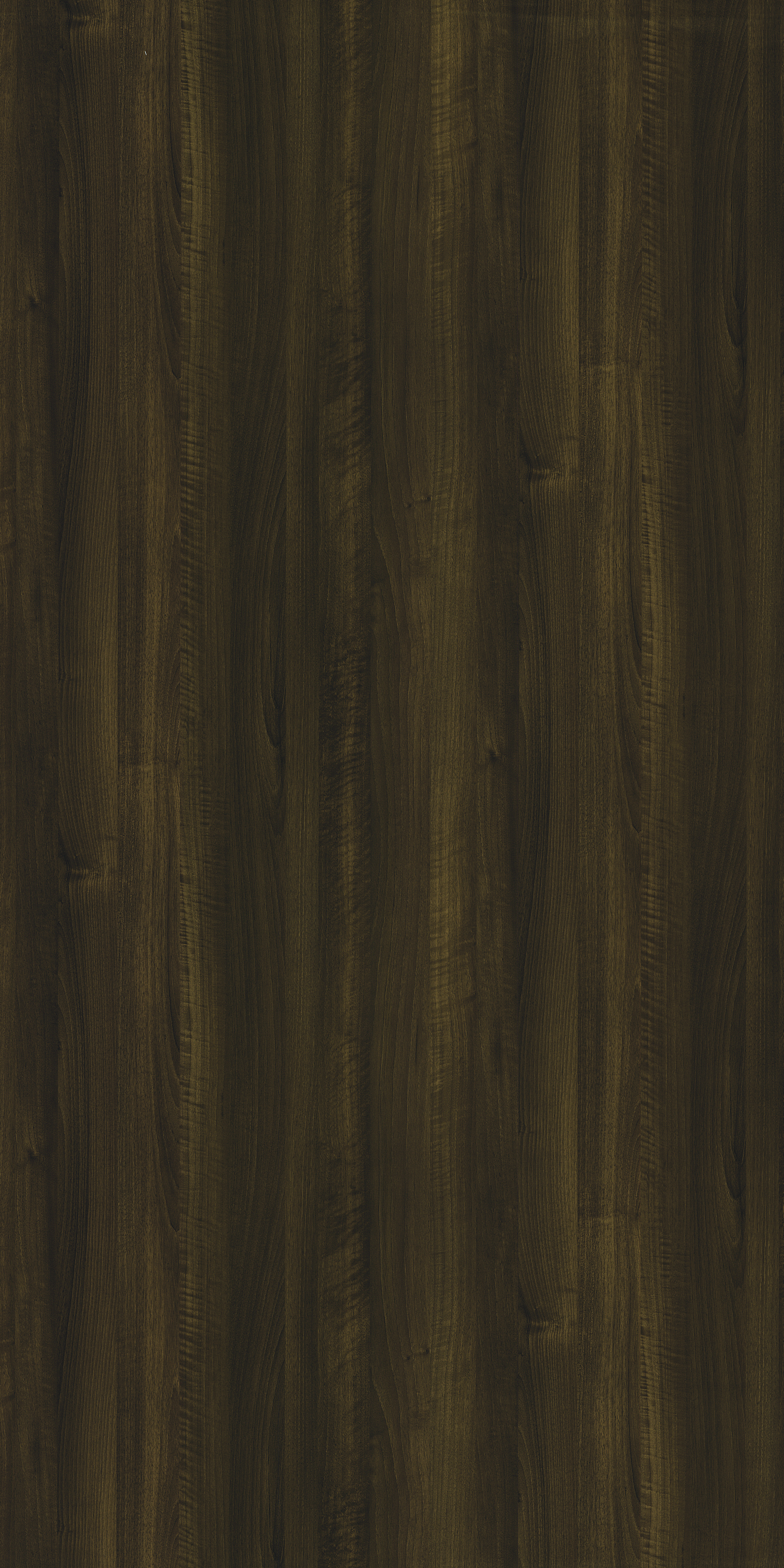 2176 HGF CORAL WALNUT Brown Wood High Gloss Laminate - AmulyaMica