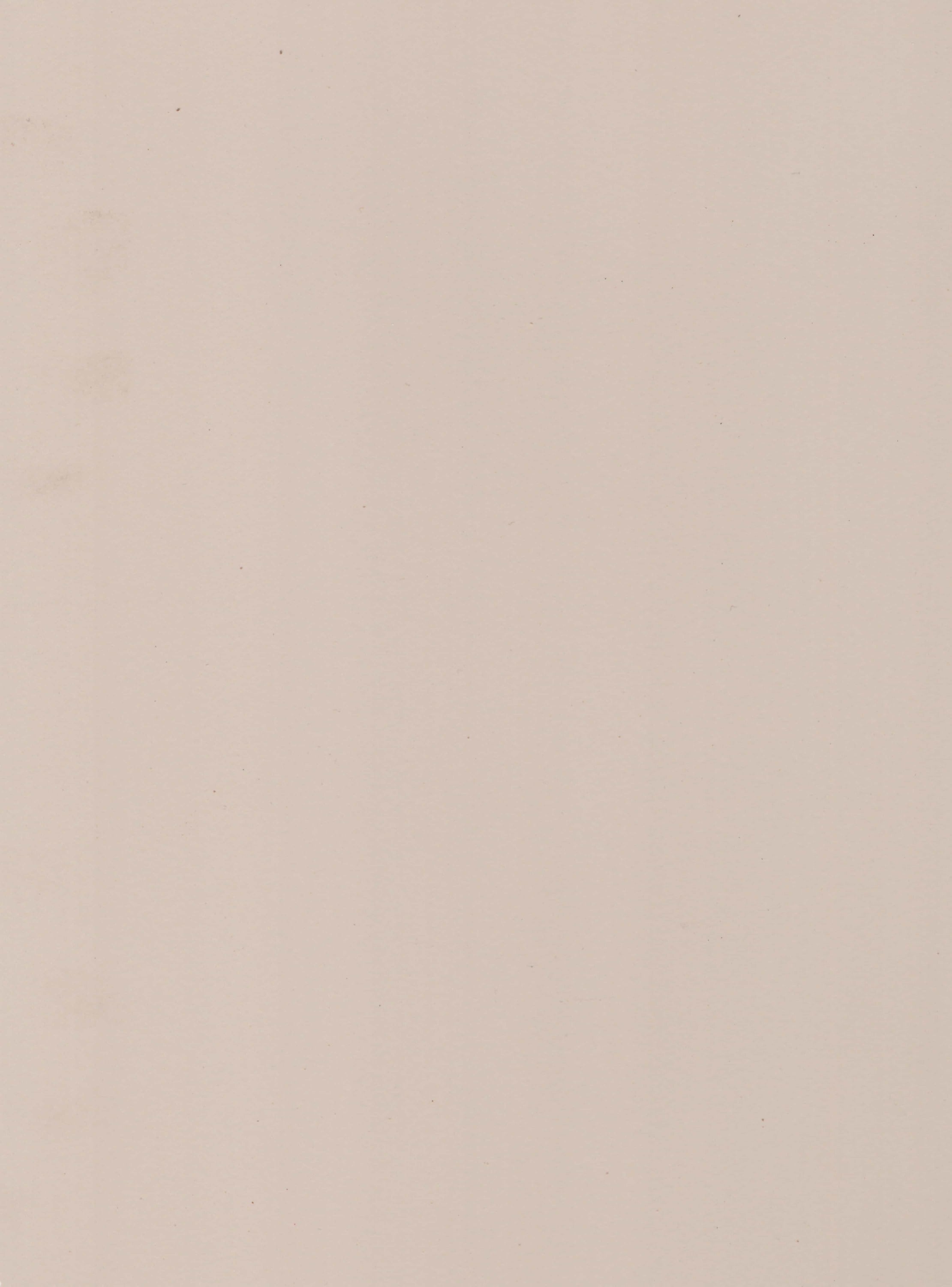 221070 AS BRITISH BUFF Cream Plain Colors Gloss Laminate - AmulyaMica
