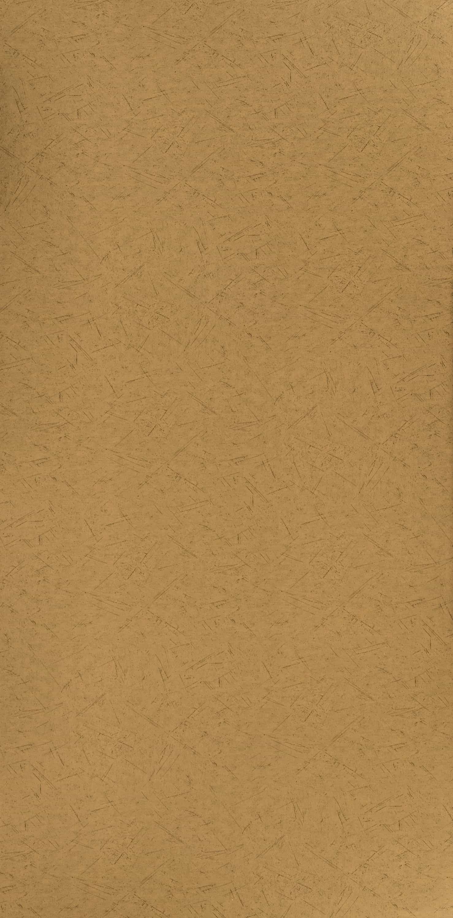 LX3040 Beige Metallic Gloss Laminate - AmulyaMica