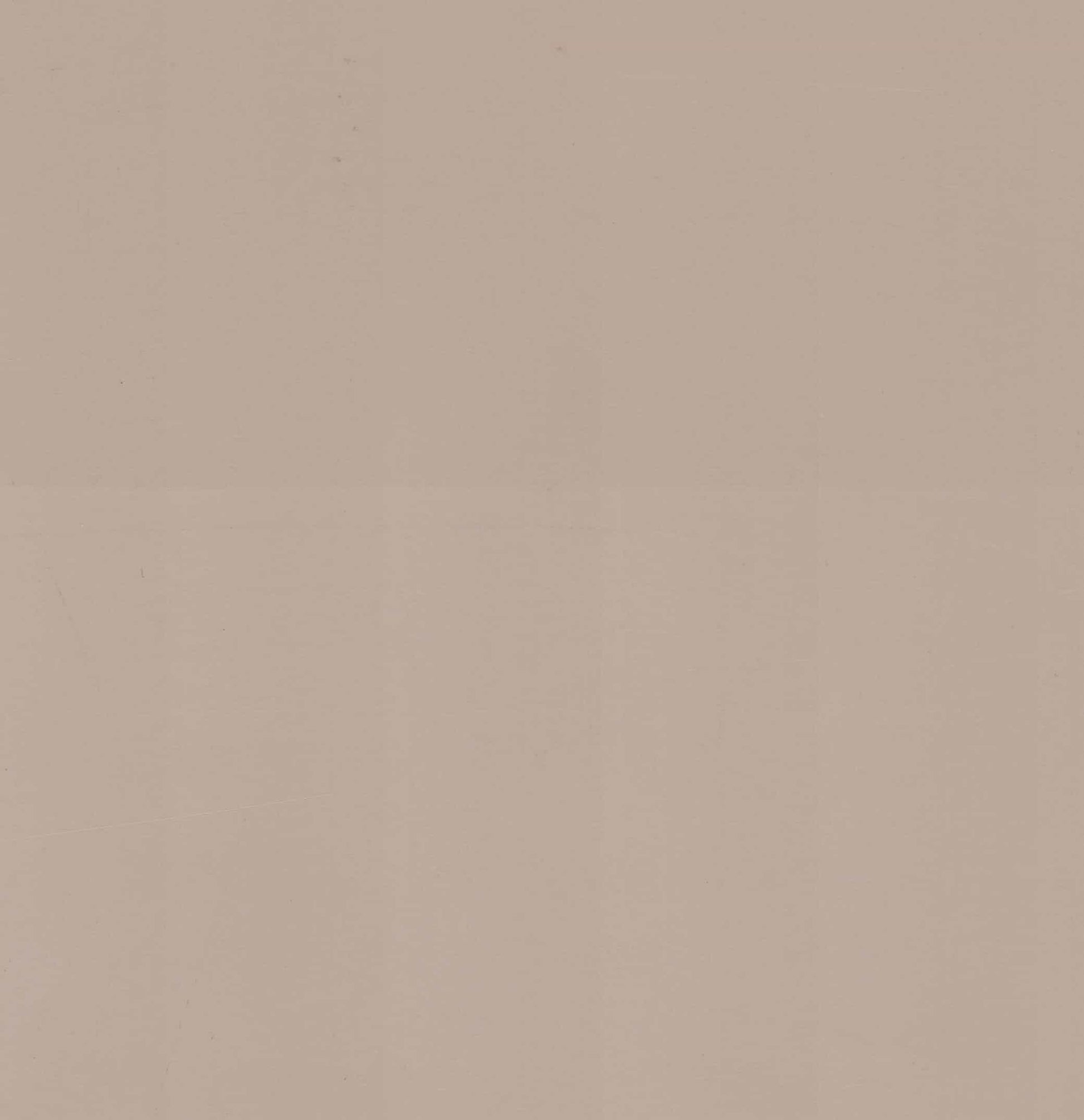 LX3095 Beige Plain Colors Gloss Laminate - AmulyaMica
