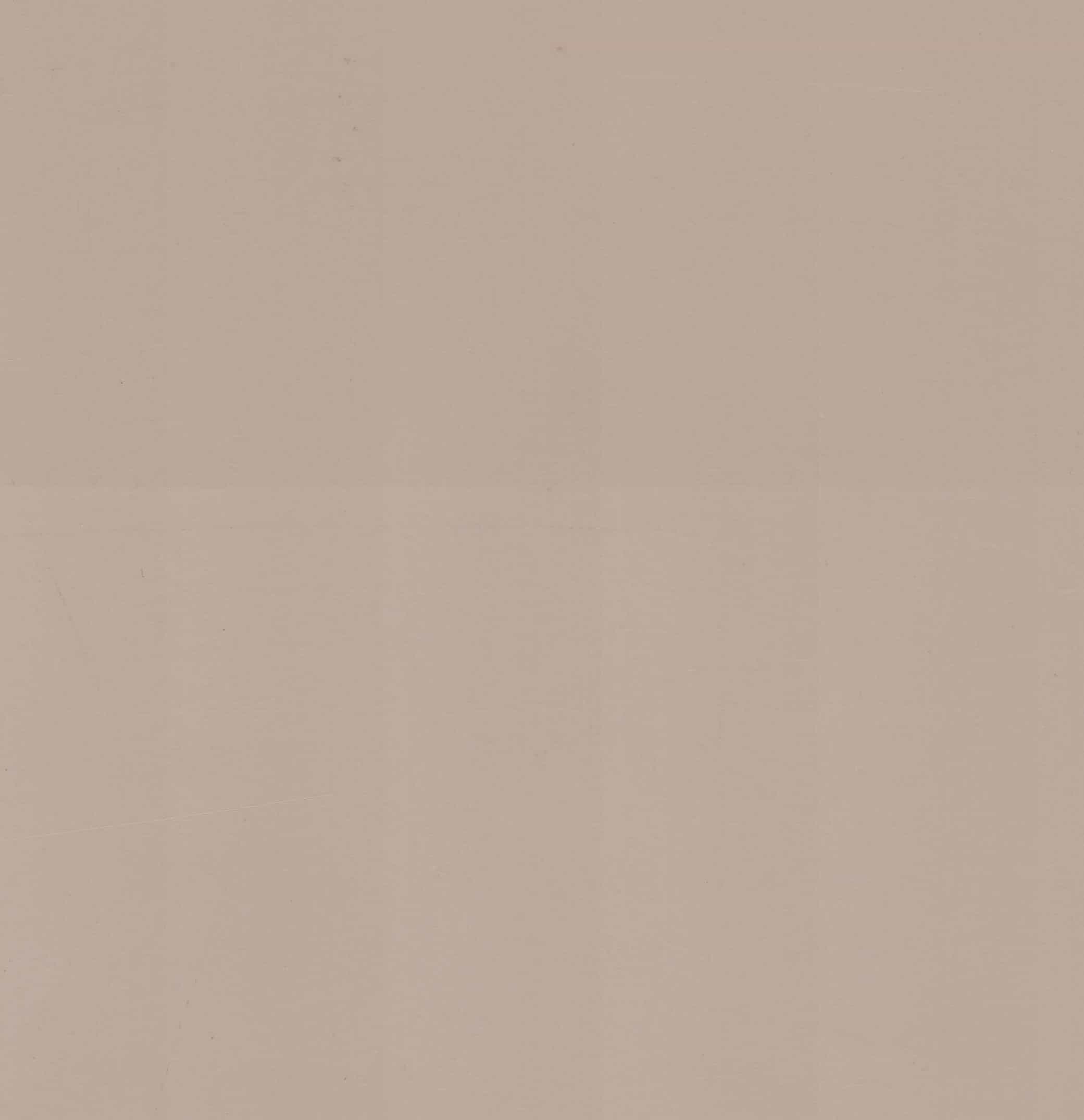 LX3095 Beige Plain Colors Gloss Laminate - AmulyaMica