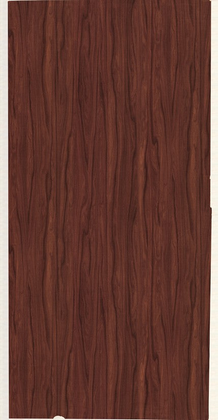 3247 FW GOLDEN NUT Brown Wood Gloss Laminate - AmulyaMica