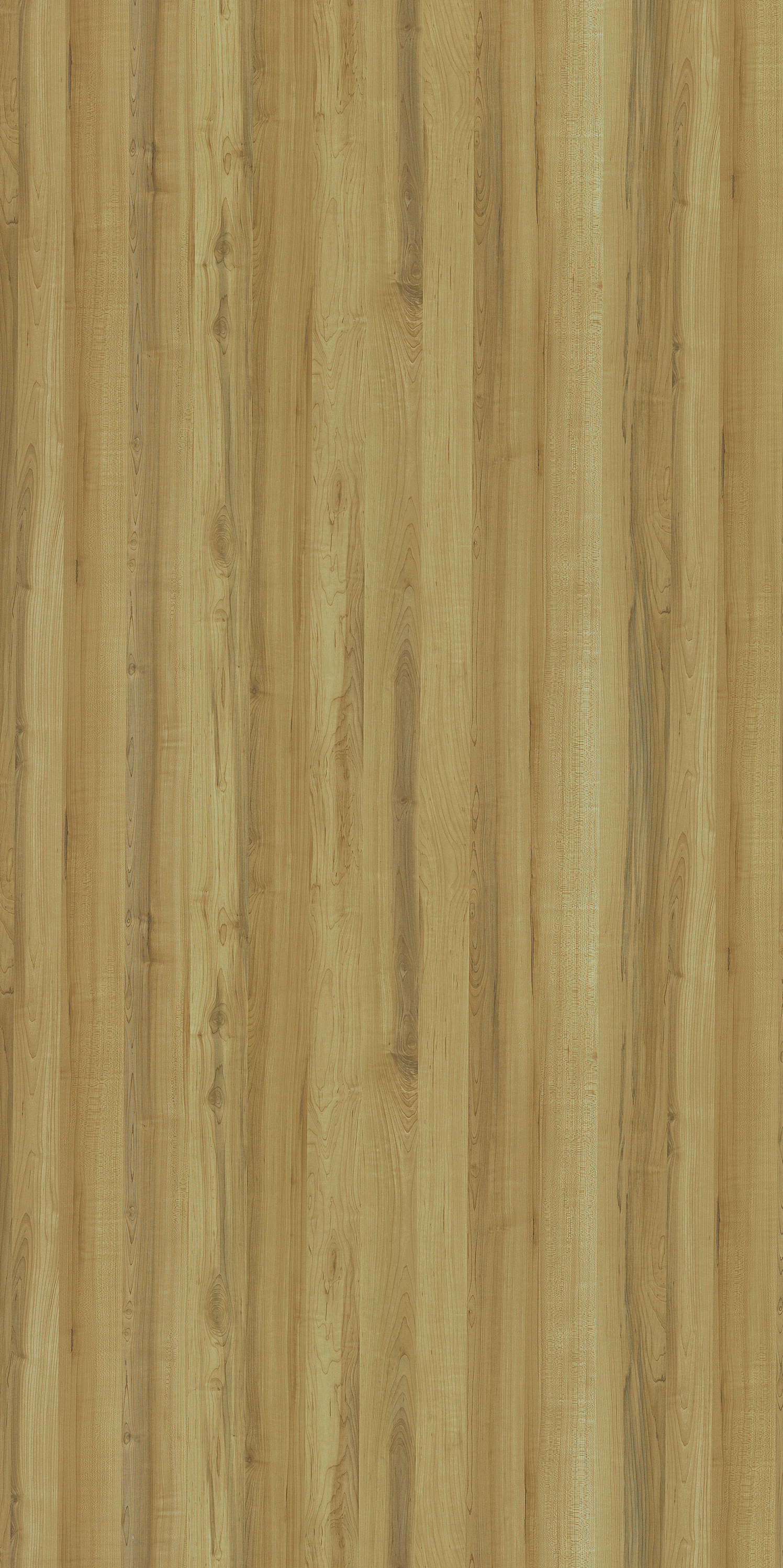 3256 RJ PRUNUS I Beige Wood Gloss Laminate - AmulyaMica
