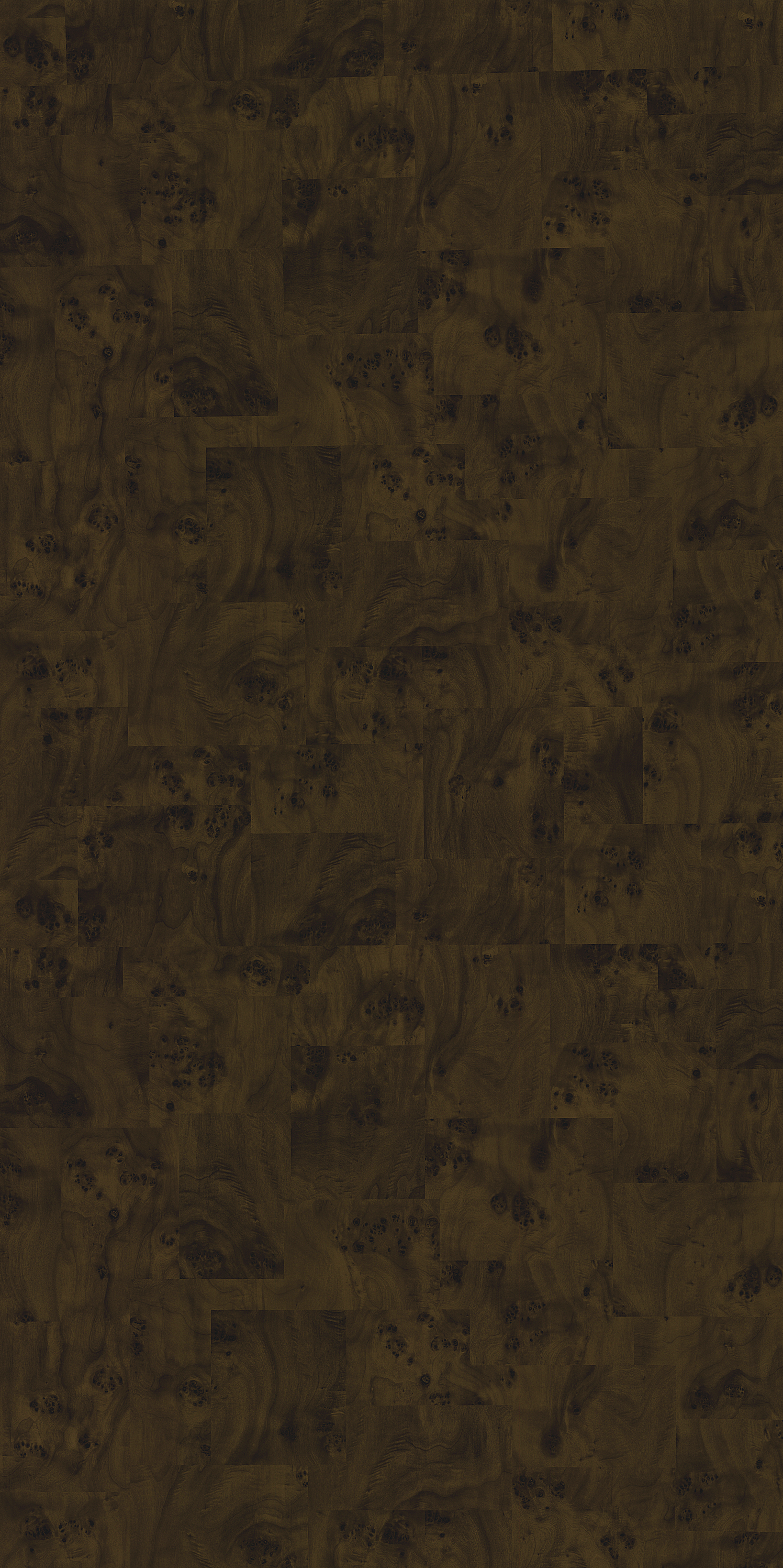 3279 HGF BROWN BURL Brown Wood High Gloss Laminate - AmulyaMica