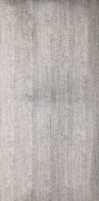 3295 HGF BIRD EYE MAPLE I Grey Wood High Gloss Laminate - AmulyaMica