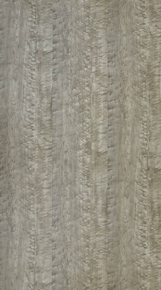 3296 DV BIRD EYE MAPLE II Grey Wood Gloss Laminate - AmulyaMica