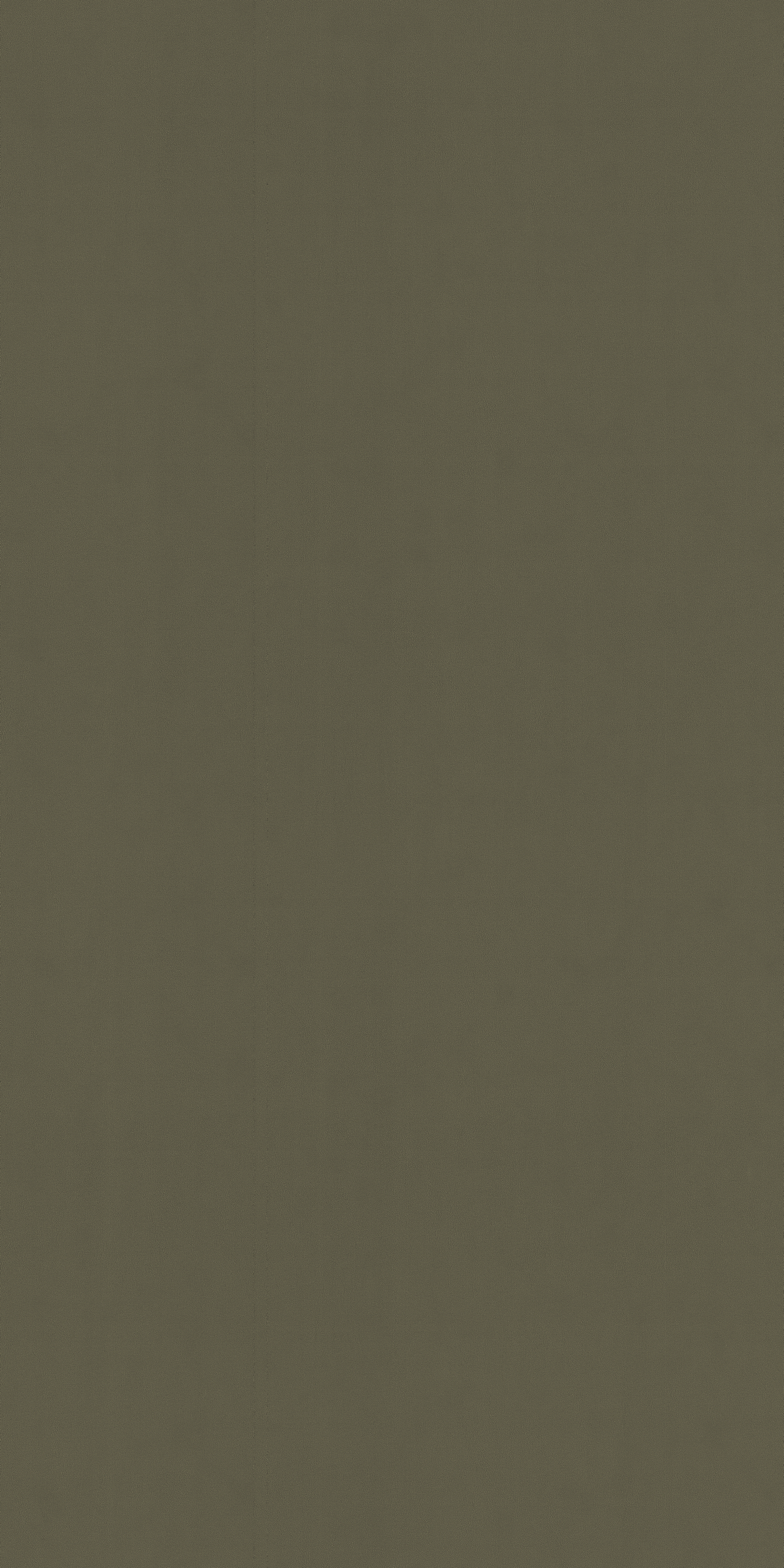 3323 RLT CUOIO II Grey Plain Colors Gloss Laminate - AmulyaMica