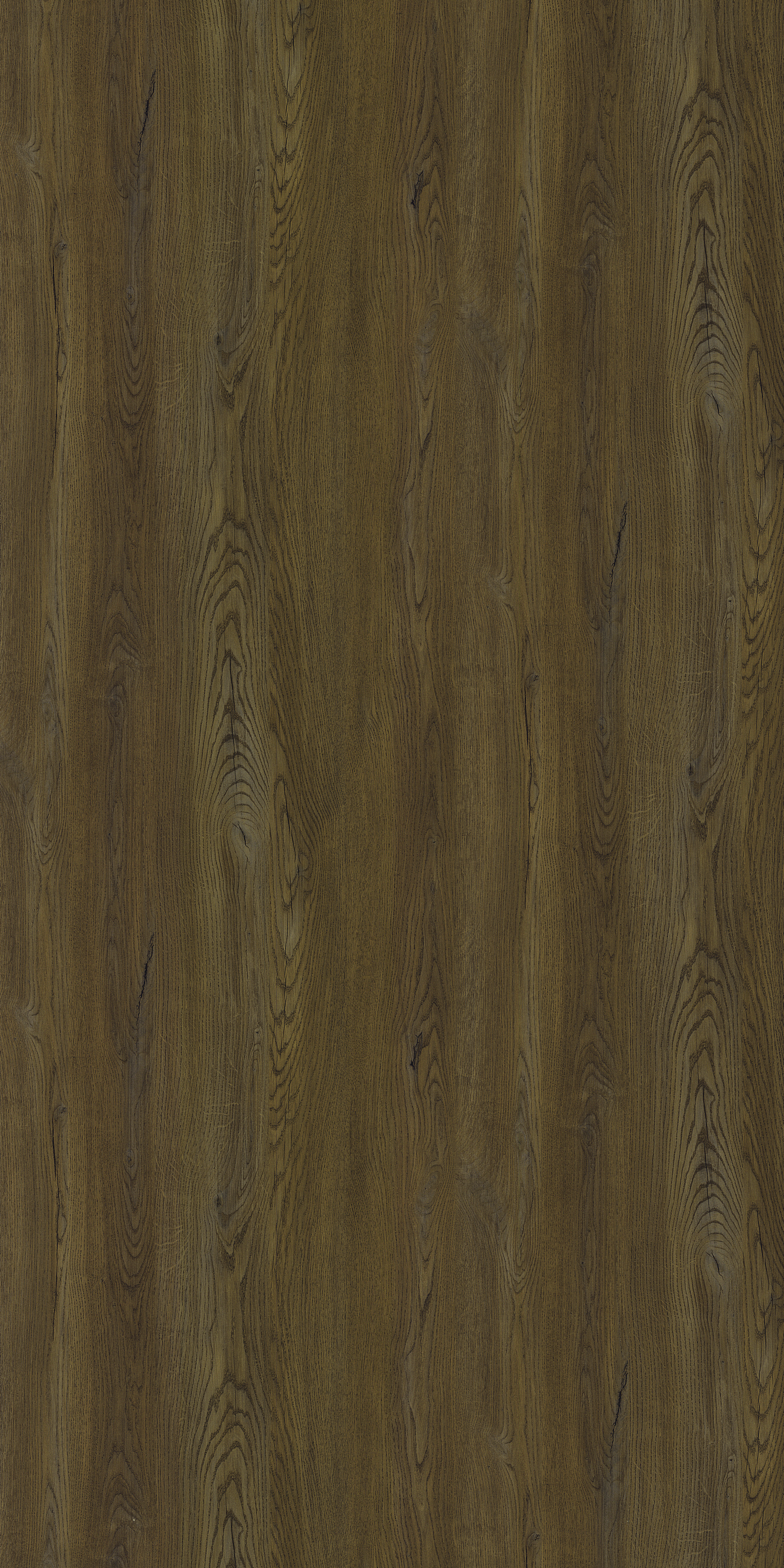 3353 WO EUROPEAN OAK BROWN Brown Wood Gloss Laminate - AmulyaMica