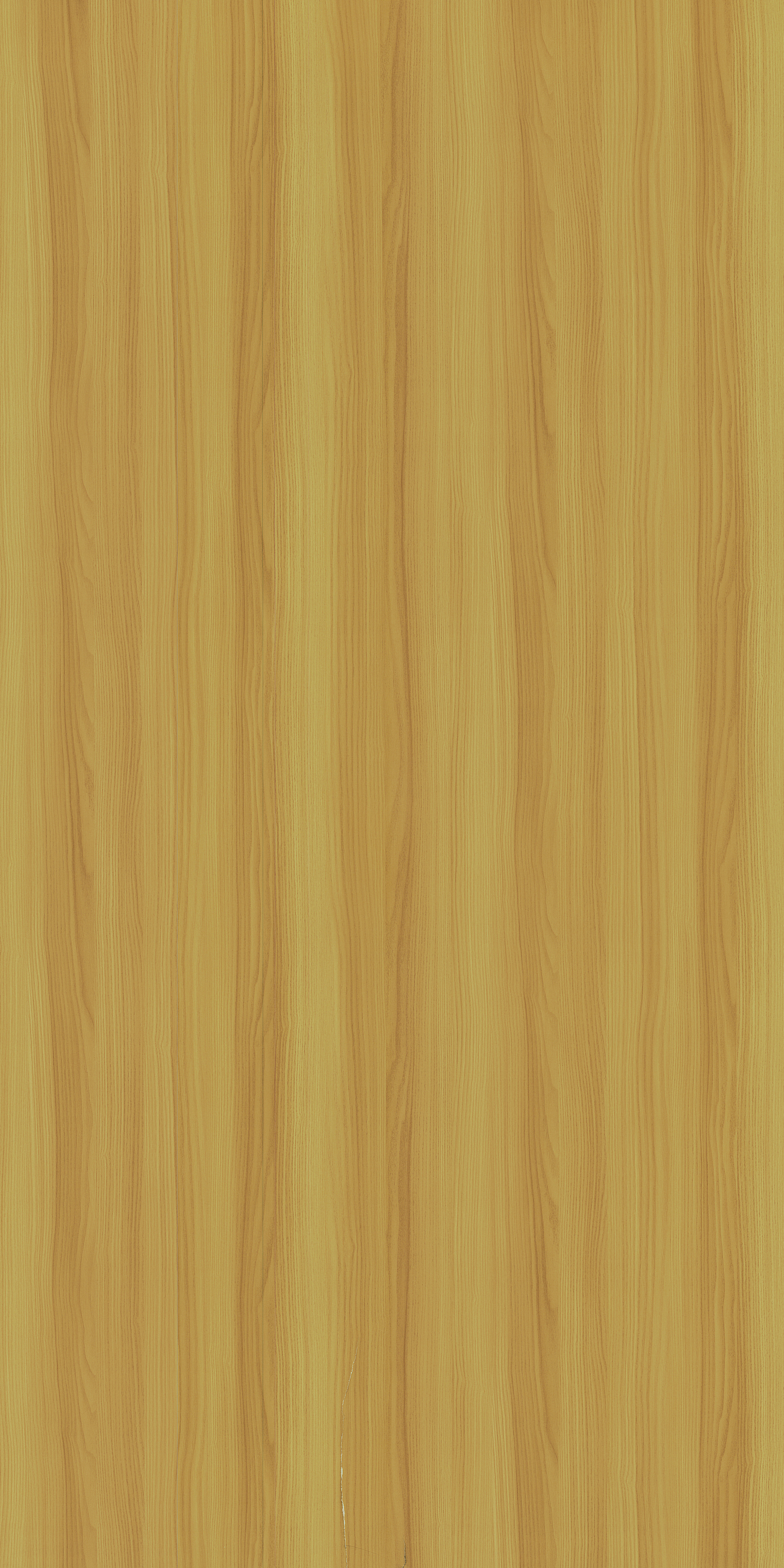 3369 OW BAVARIAN ASH TEAK Yellow Wood Gloss Laminate - AmulyaMica