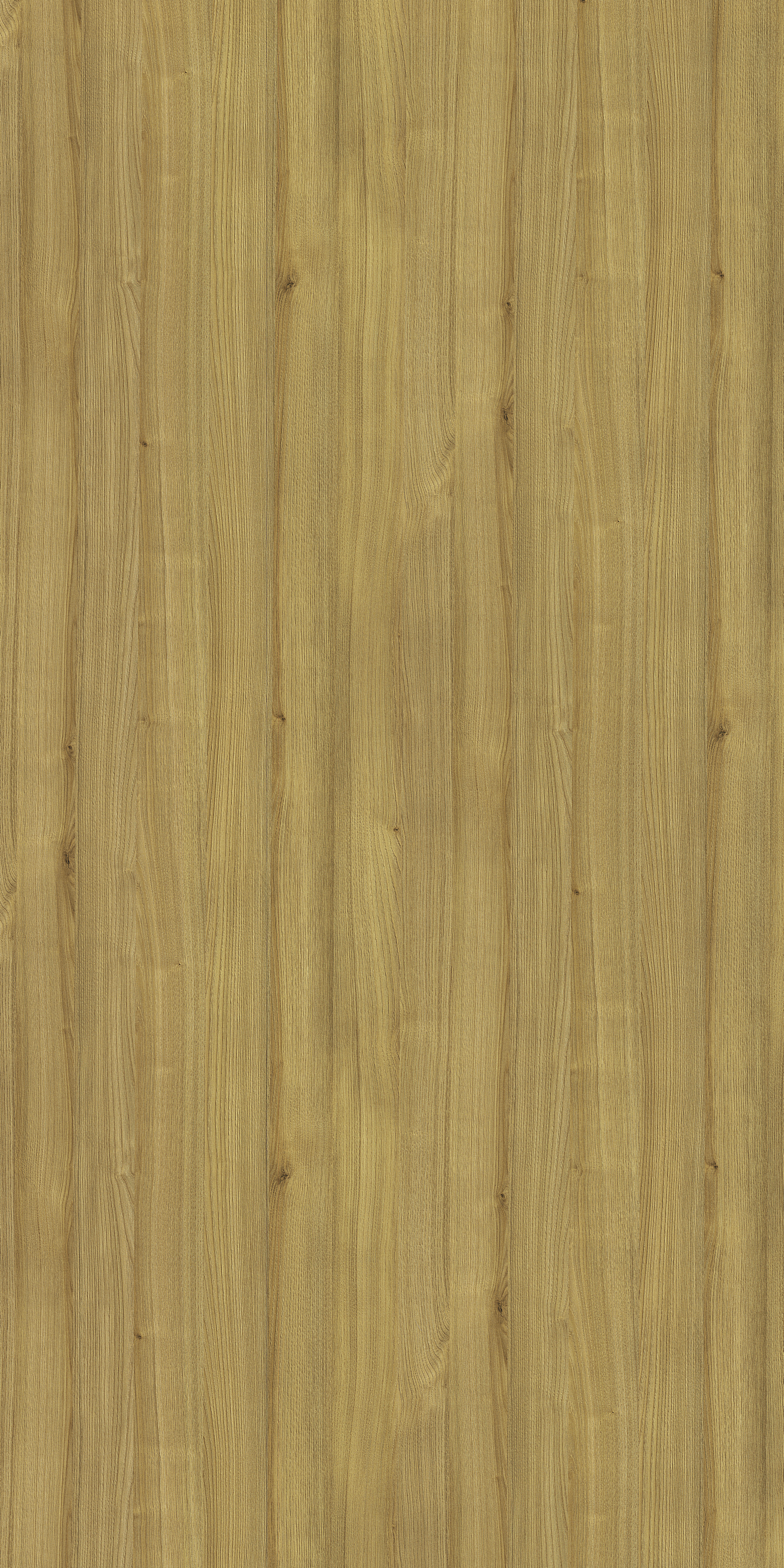 3379 EO VENTURA CHESTNUT Yellow Wood Gloss Laminate - AmulyaMica