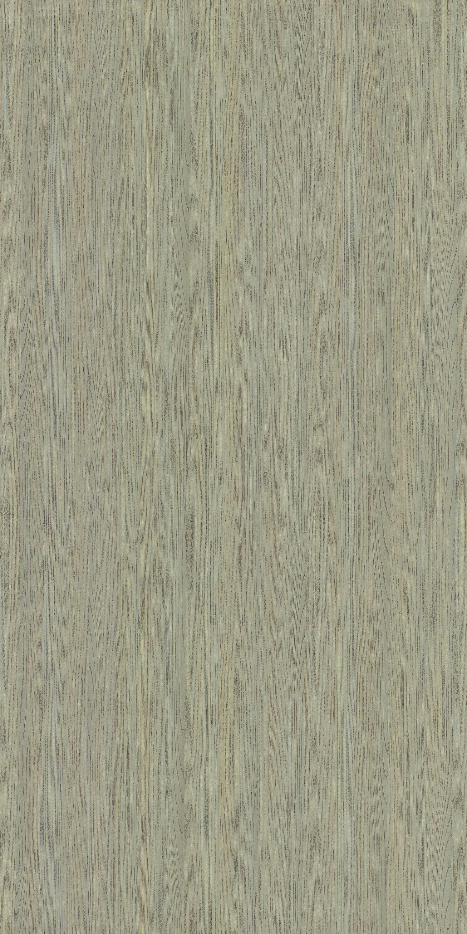 3385 ZO ETCHED OAK Grey Wood Gloss Laminate - AmulyaMica