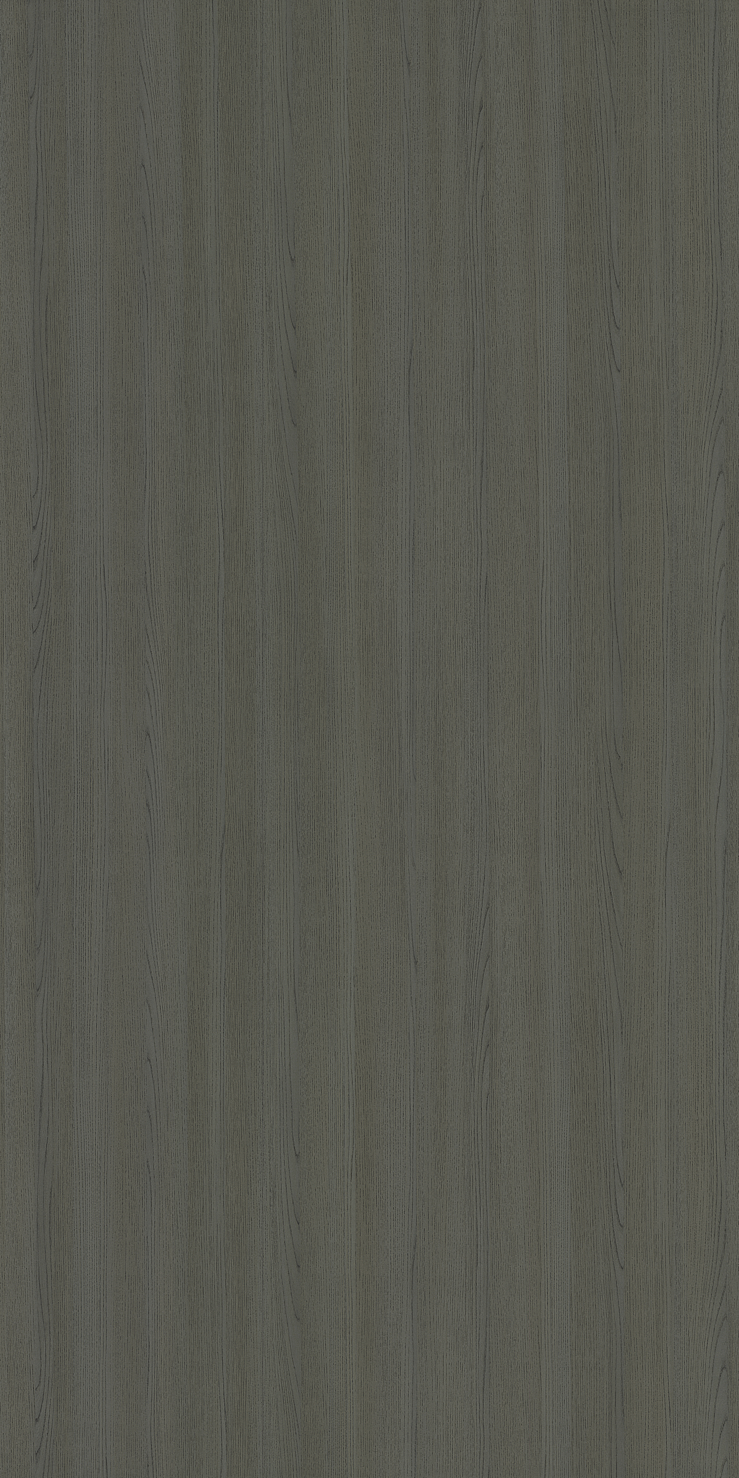 3386 VZ ETCHED DYED OAK BROWN Grey Wood Gloss Laminate - AmulyaMica
