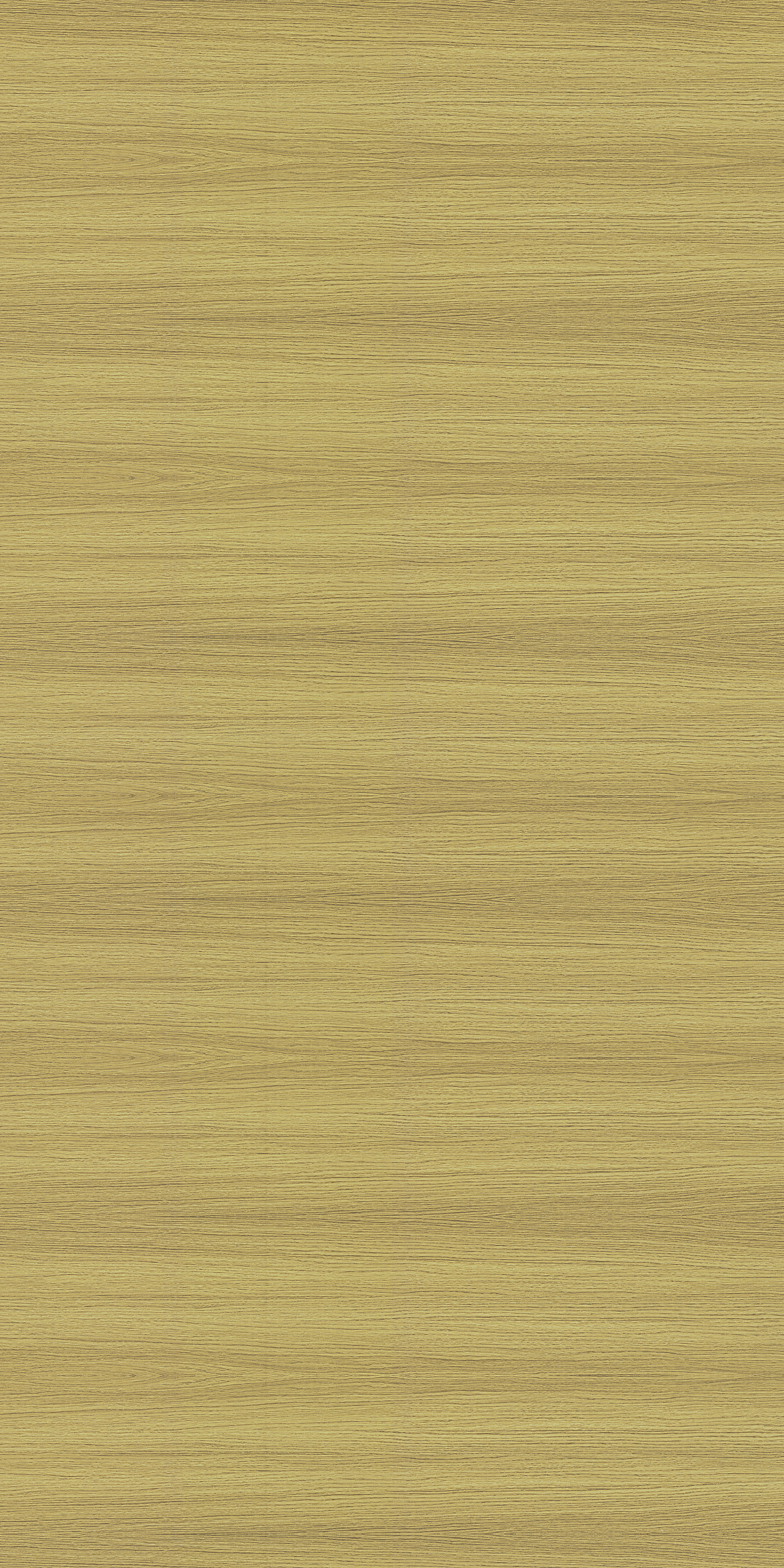 3396 SF MISTY GENESIS OAK Gold Wood Suede Laminate - AmulyaMica