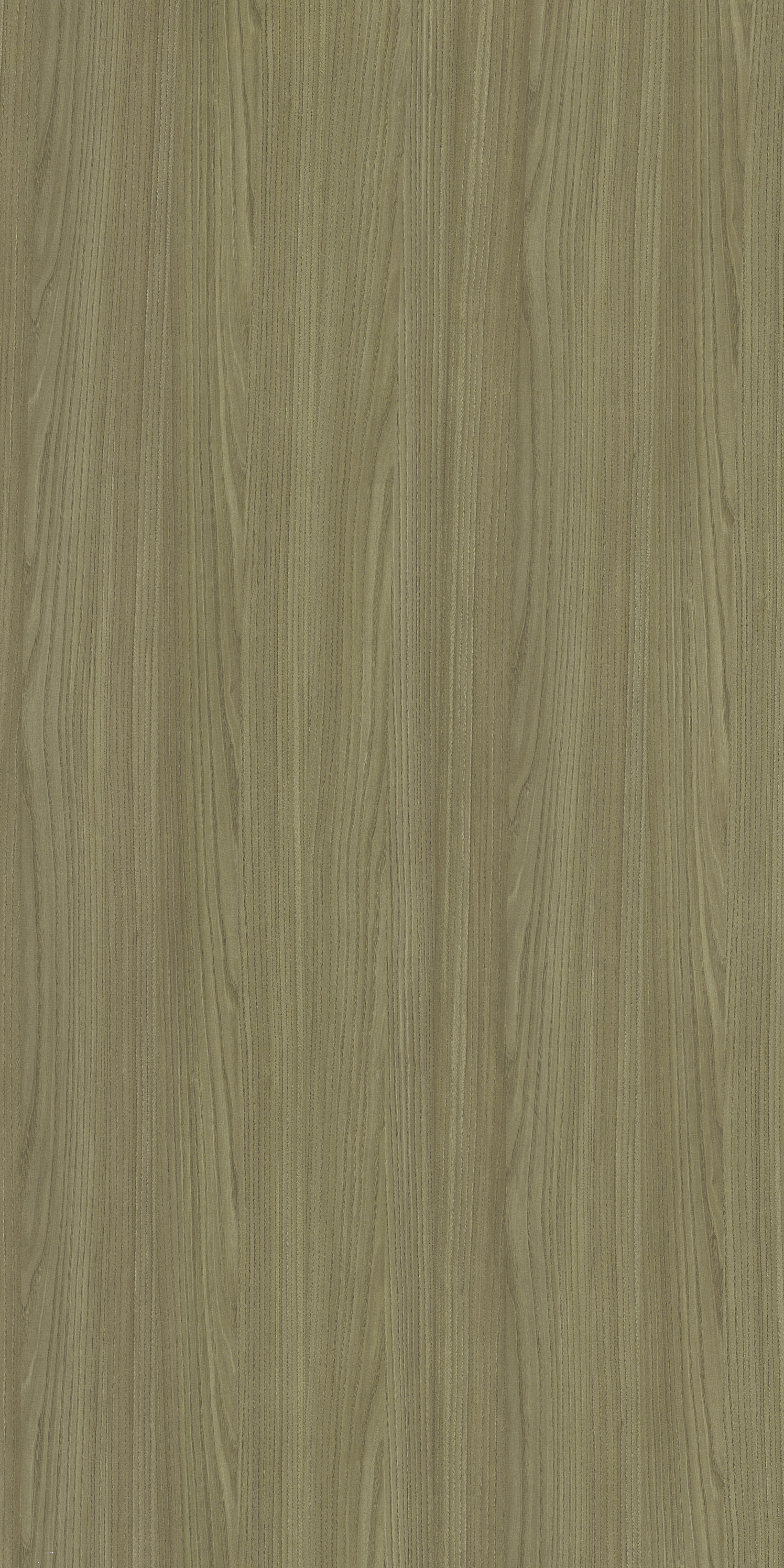 3405 ZO GRAN SASSO KASTANIE I Green Wood Gloss Laminate - AmulyaMica