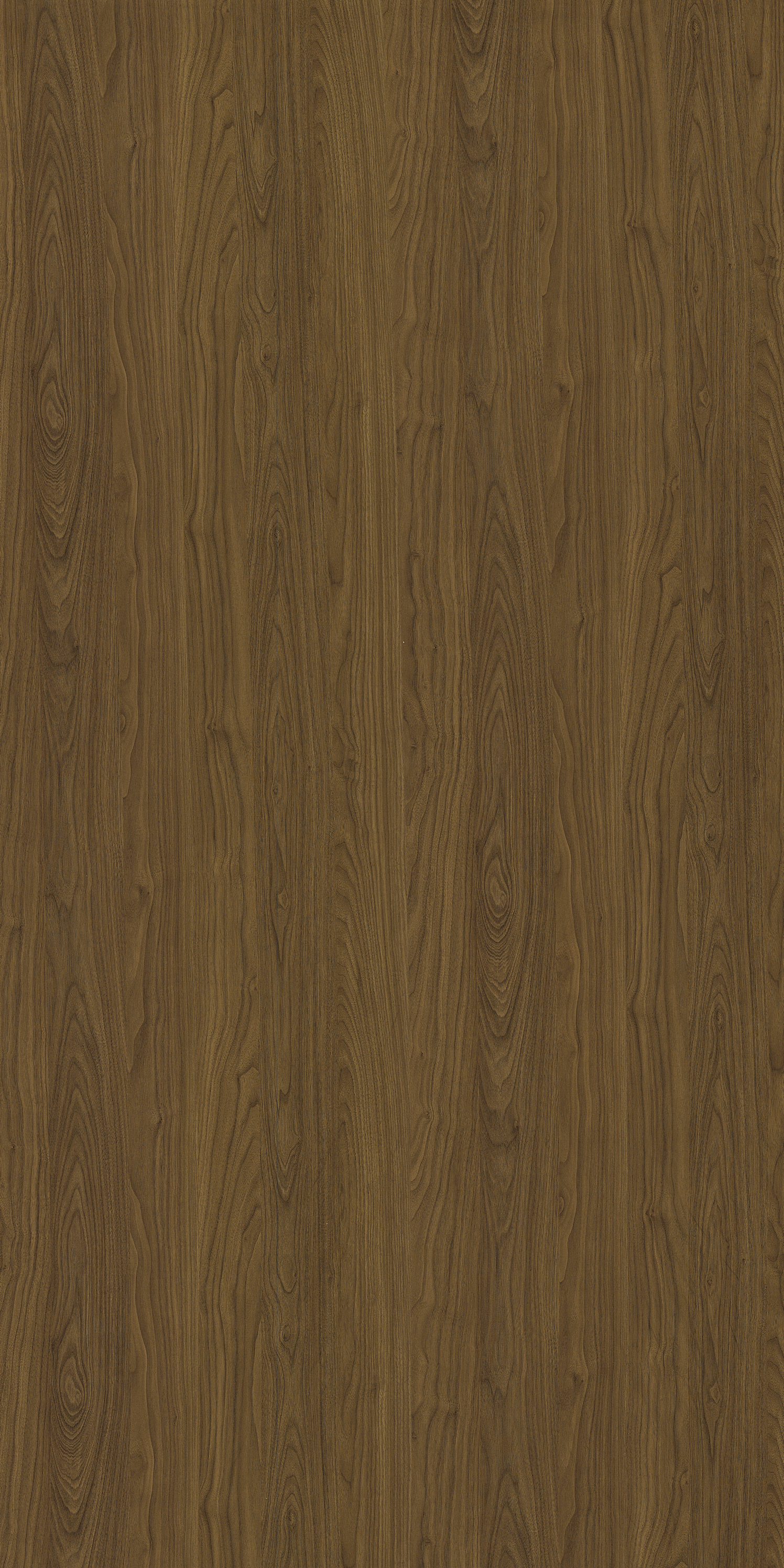 3410 RJ BLACK WALNUT Brown Wood Gloss Laminate - AmulyaMica