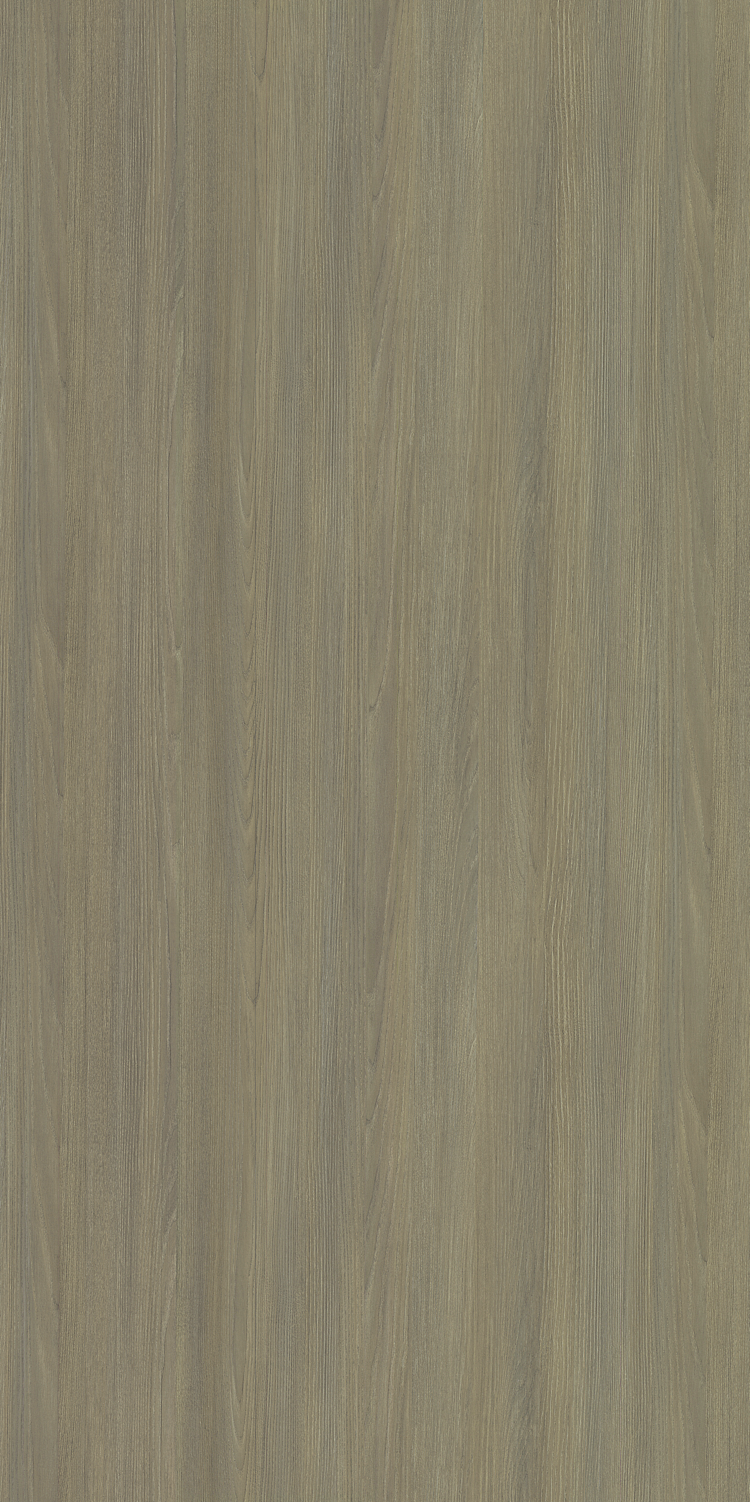 3411 ZO DYED ELM BEIGE Grey Wood Gloss Laminate - AmulyaMica