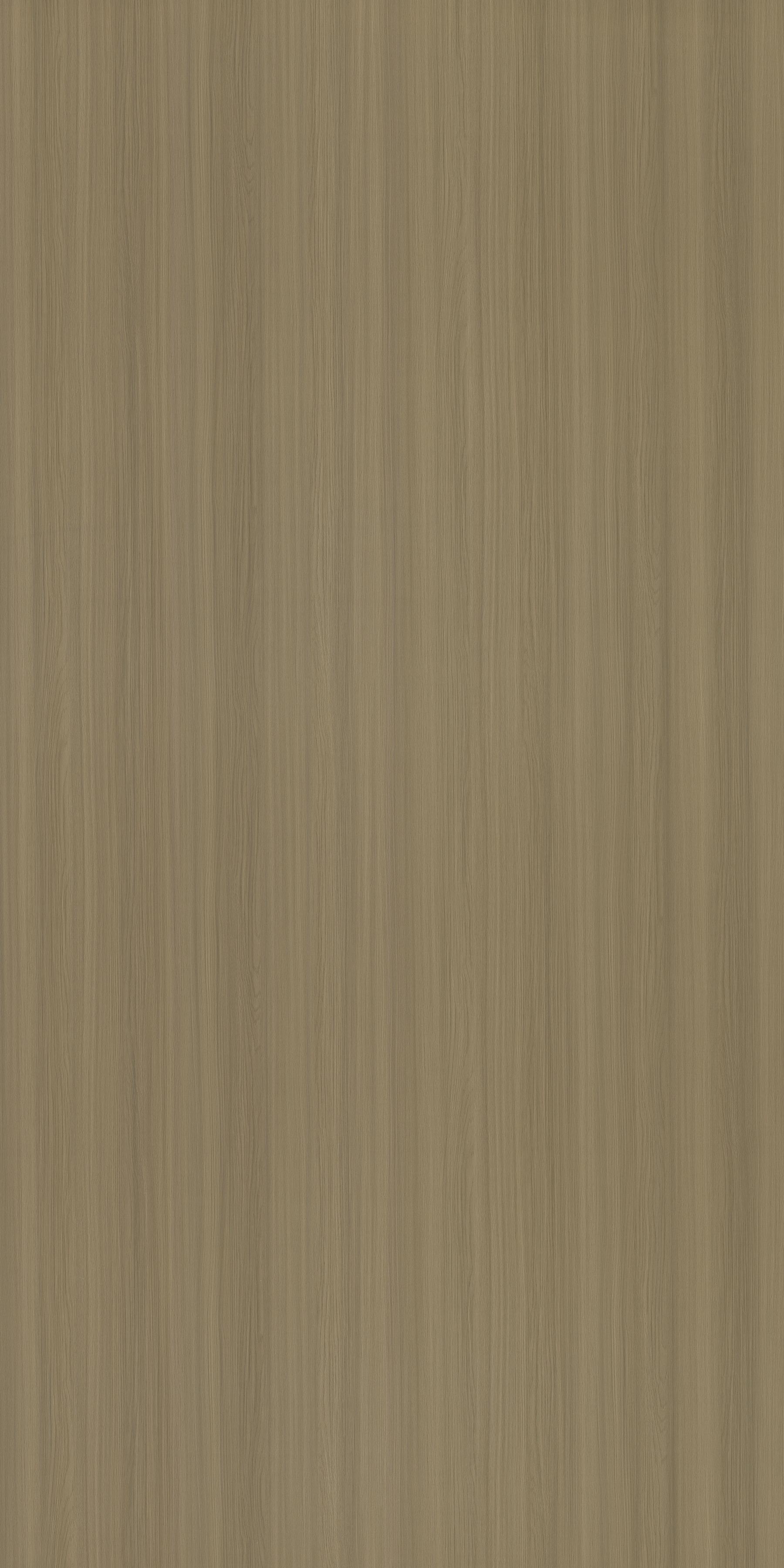 3419 CLK CHESTNUT OAK I Beige Wood Gloss Laminate - AmulyaMica