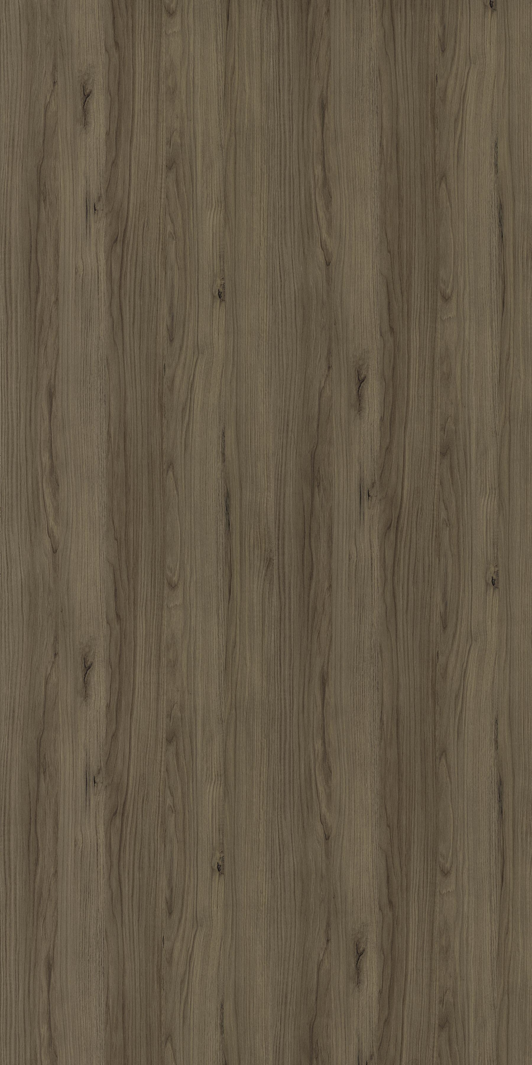 3428 ALW CATANIA EICHE TEAK Grey Wood Gloss Laminate - AmulyaMica