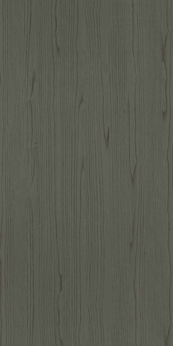 4131 RE38 BEZHO Grey Wood Texture Laminate - AmulyaMica