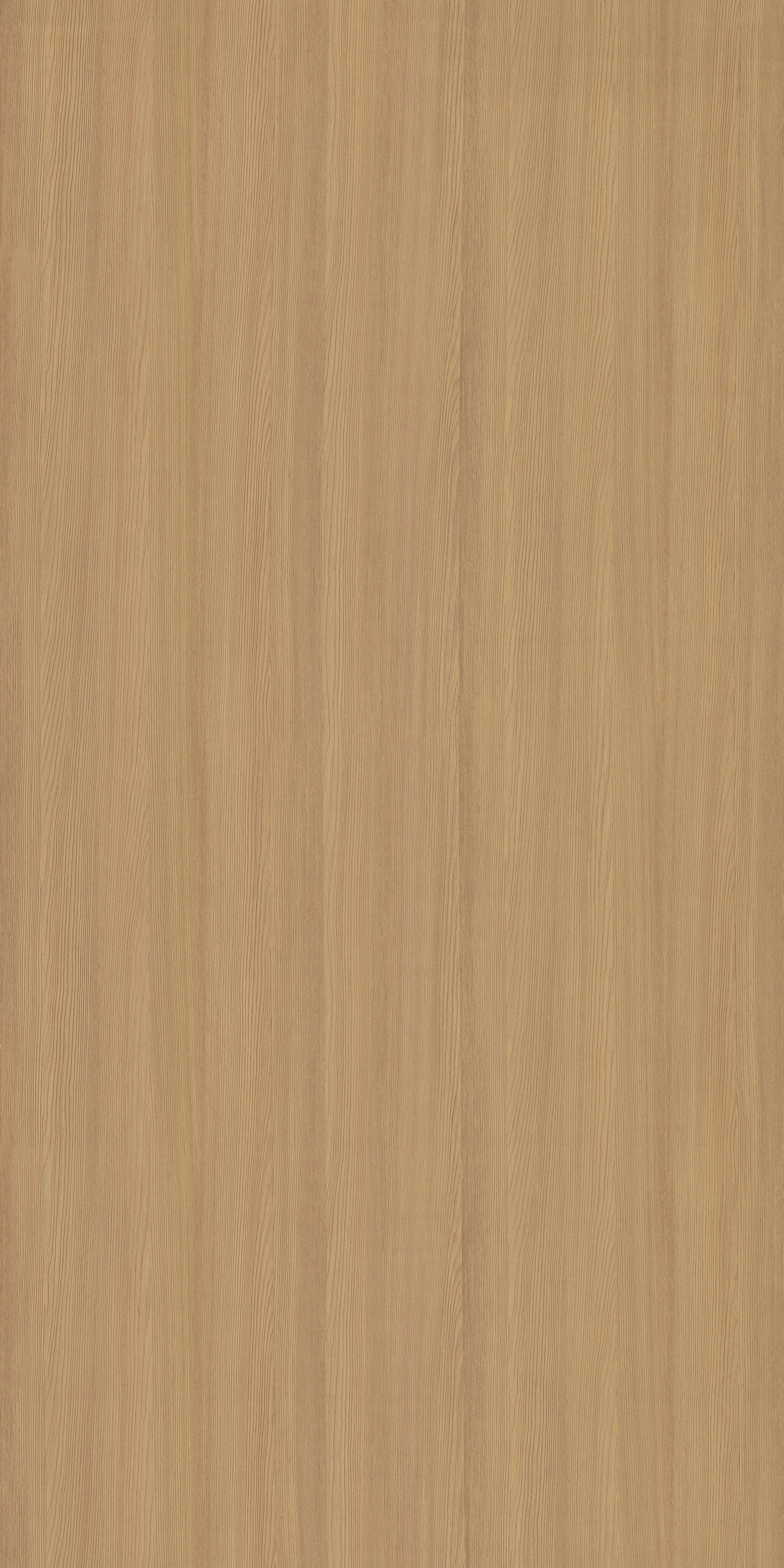 4140 RE42 DESERT PINE I Desert Pine I Plain colors Texture Wall Panel - AmulyaMica