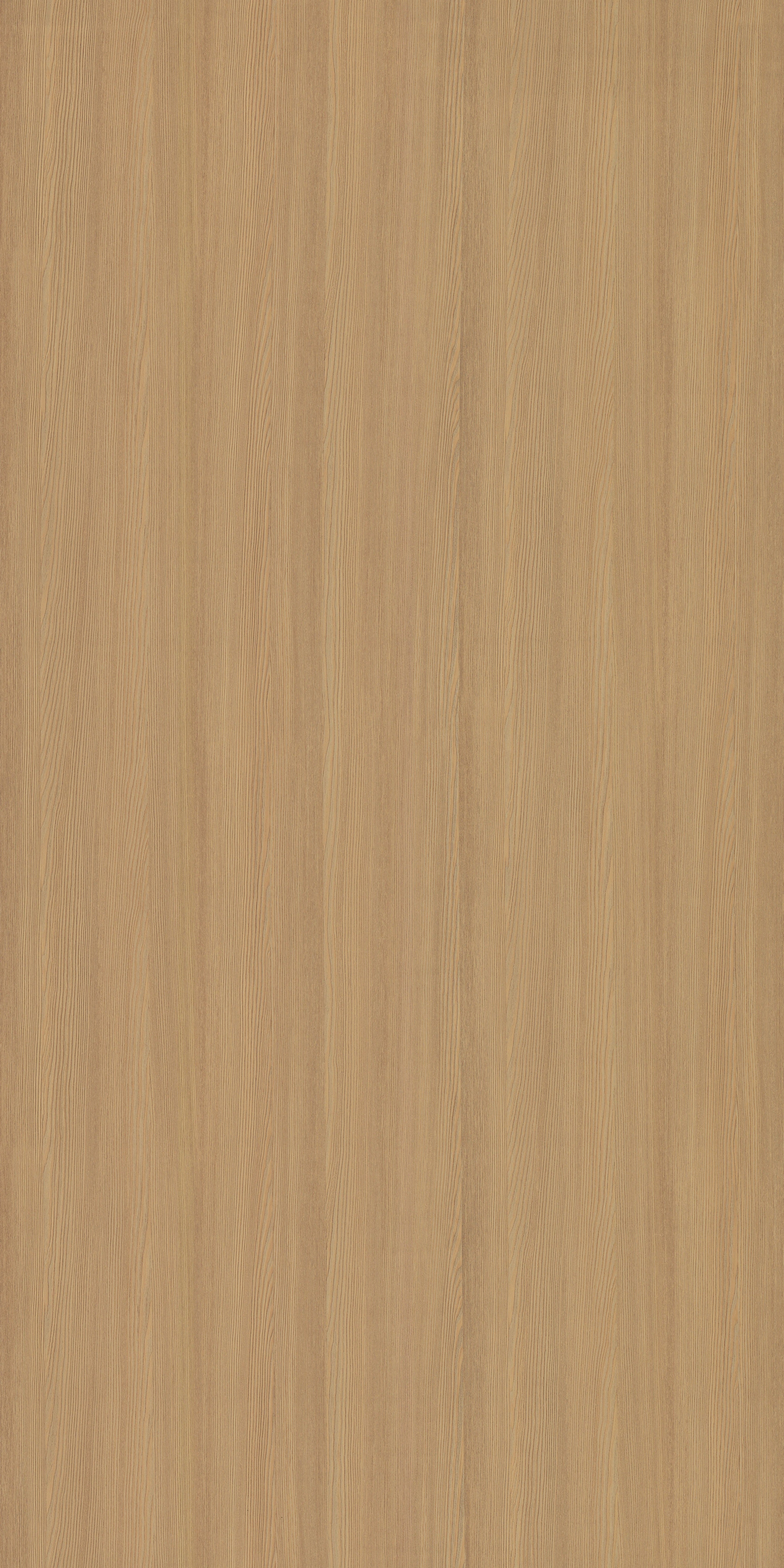 4140 RE42 DESERT PINE I Desert Pine I Plain colors Texture Wall Panel - AmulyaMica