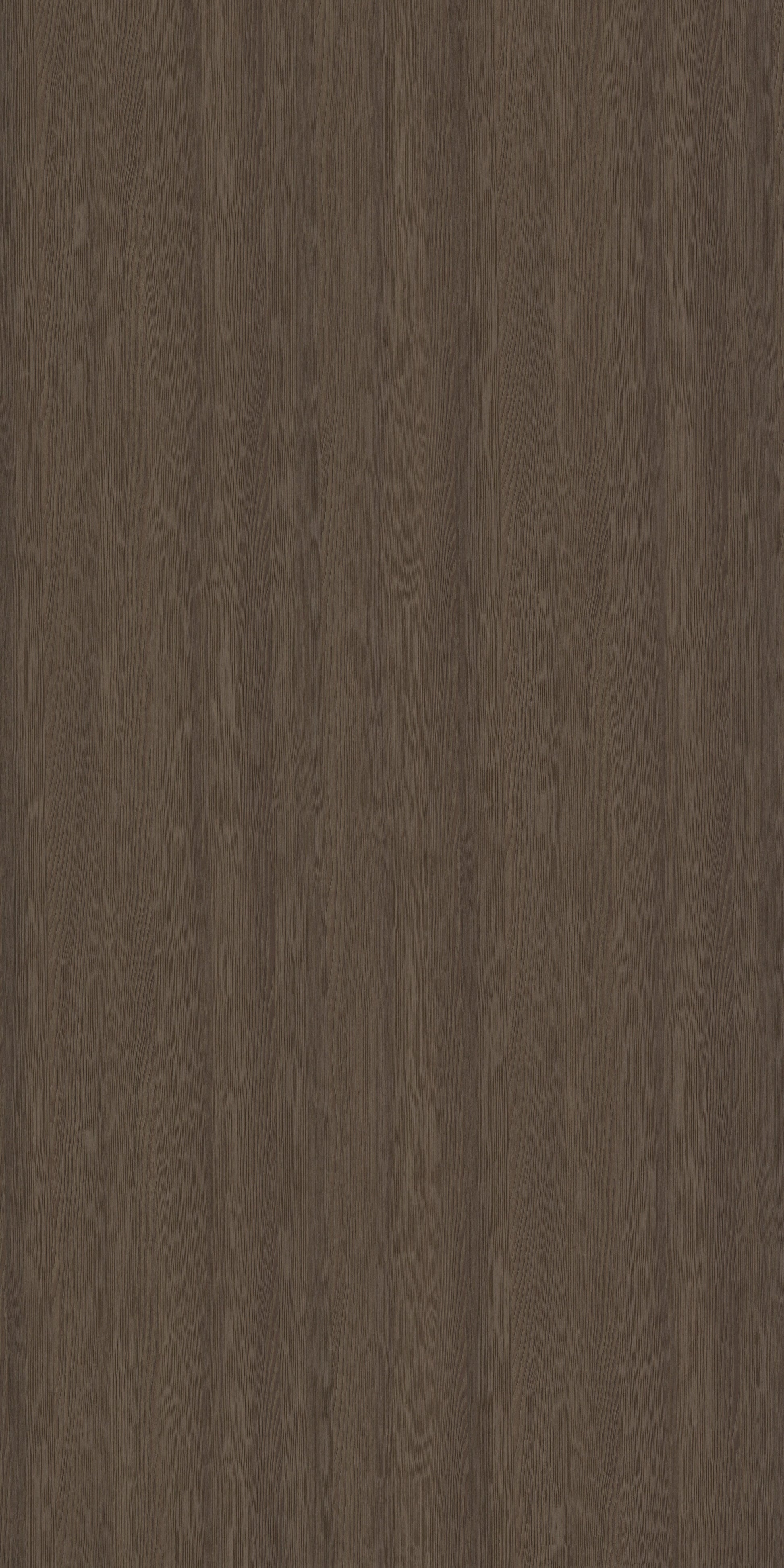 4141 RE42 DESERT PINE II Desert Pine II Wood Texture Wall Panel - AmulyaMica