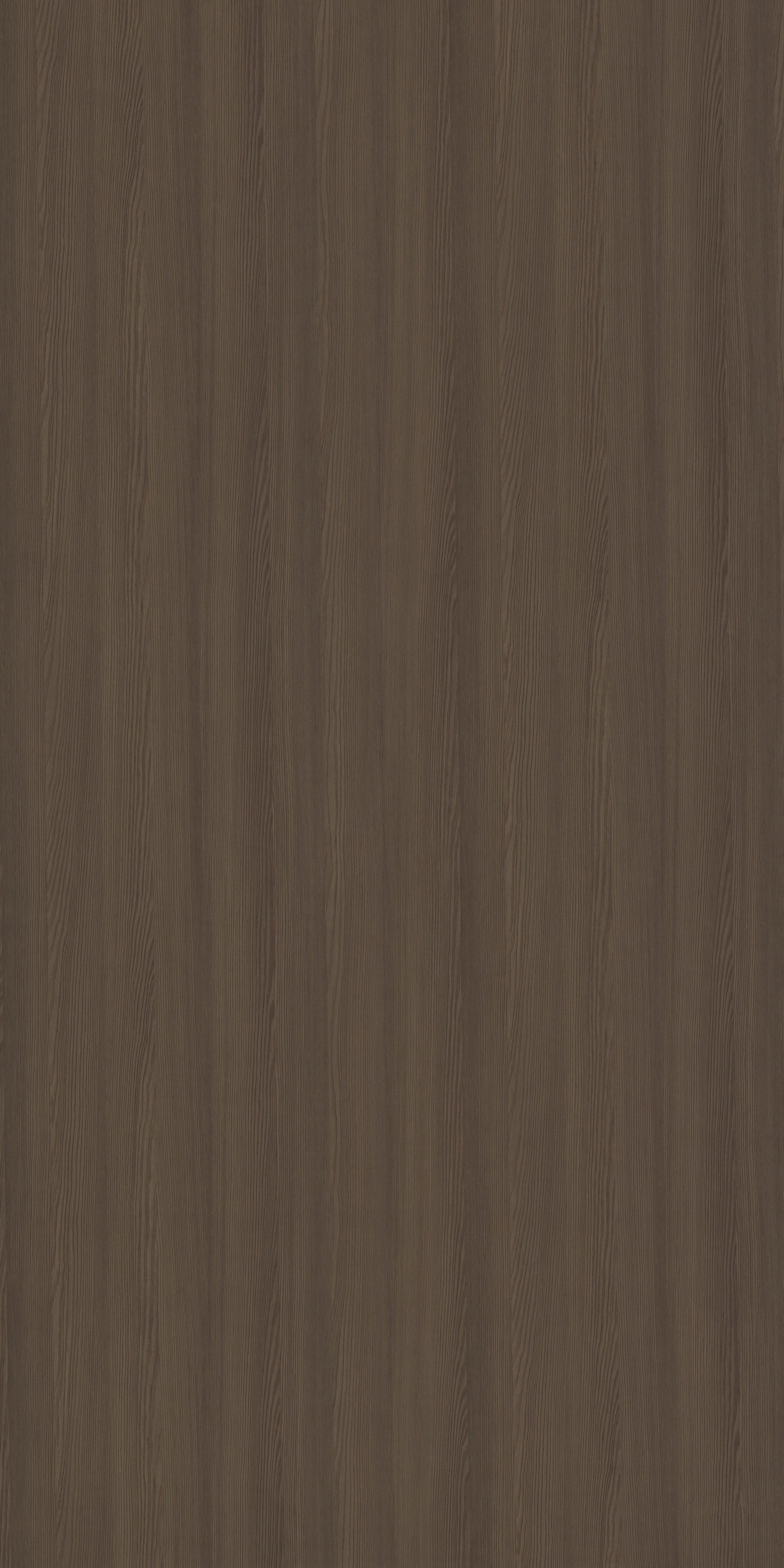 4141 RE42 DESERT PINE II Desert Pine II Wood Texture Wall Panel - AmulyaMica