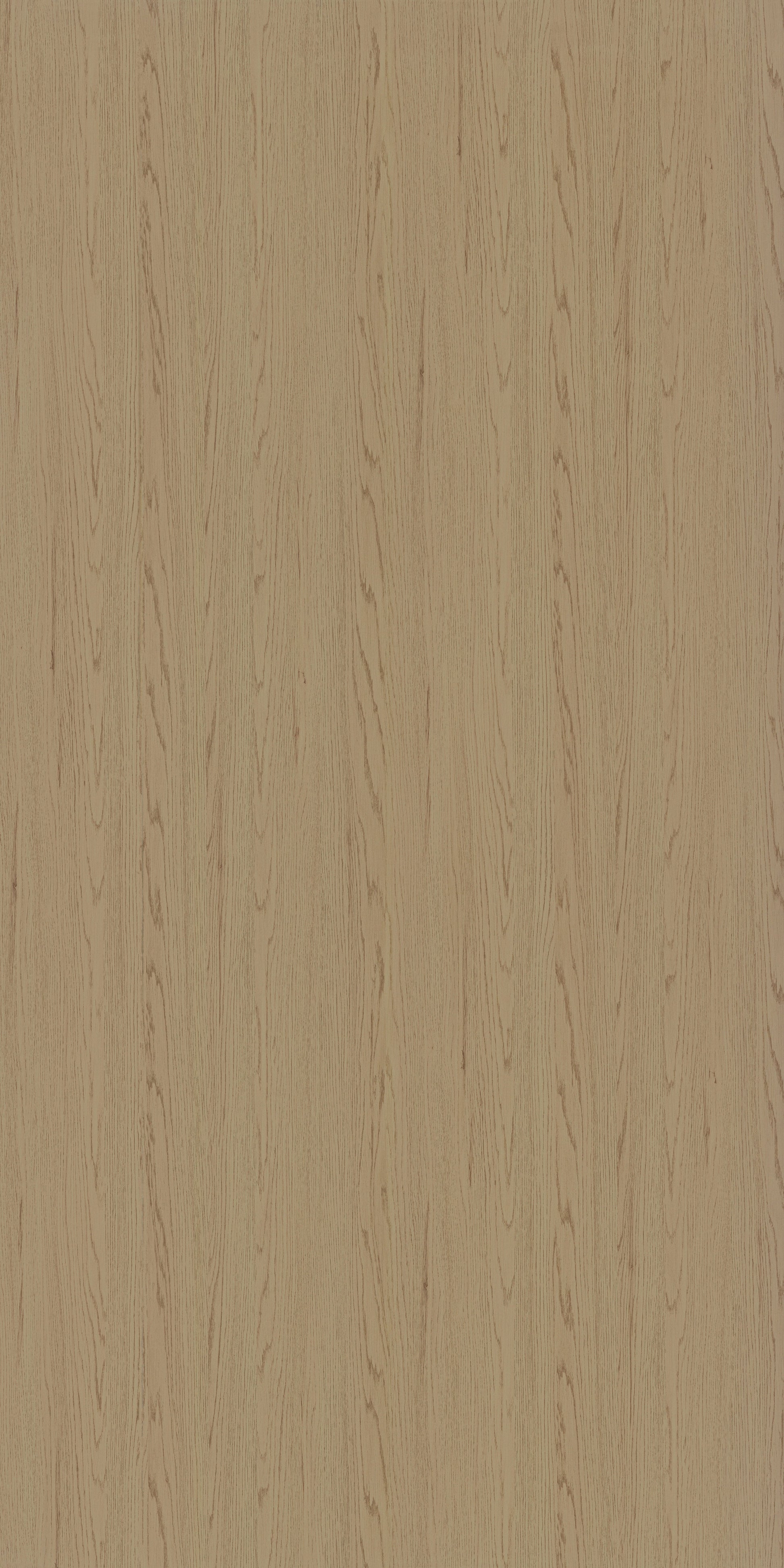 4149 RE45 CELTIS LIGHT Beige Wood Texture Laminate - AmulyaMica