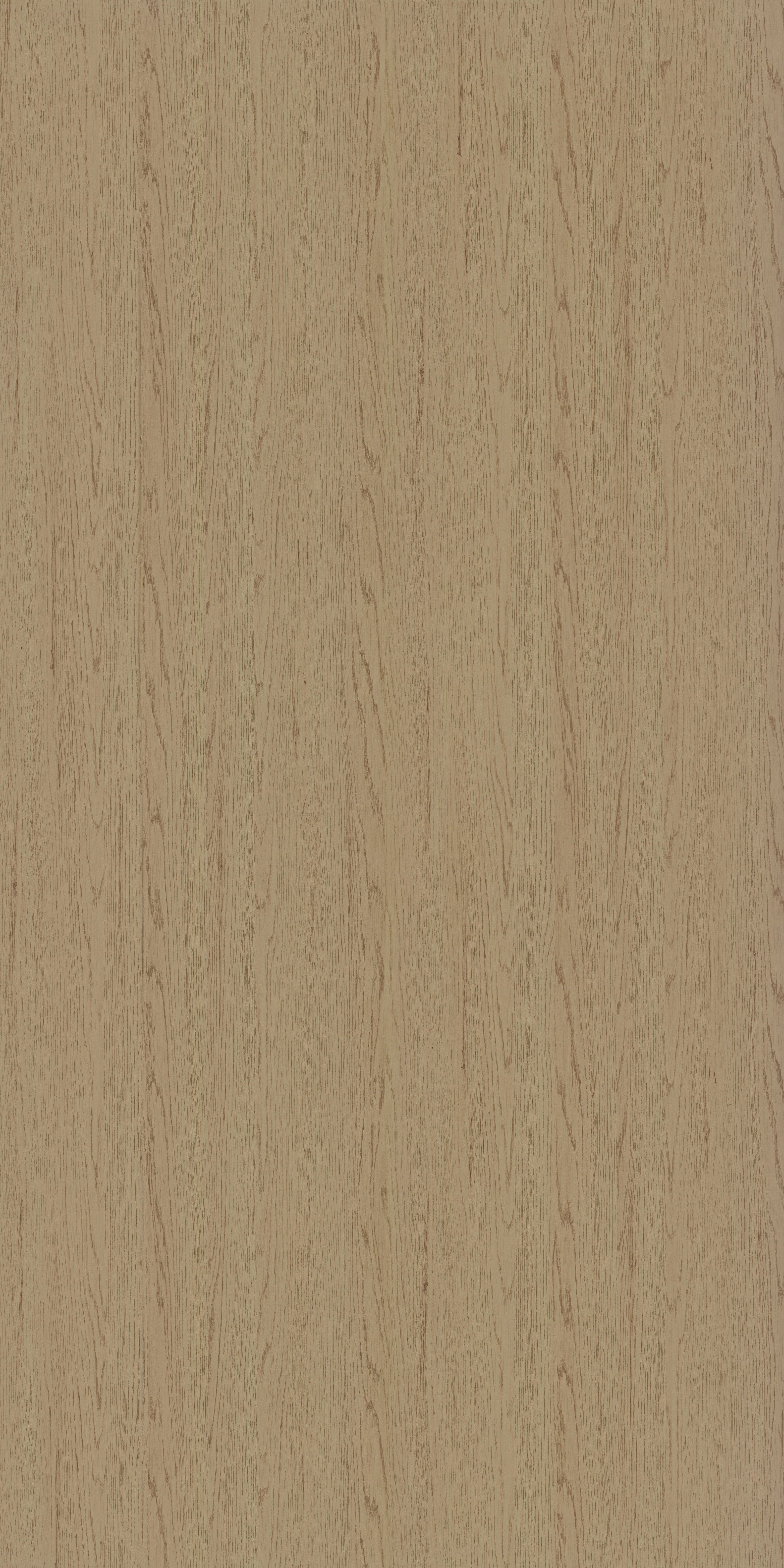 4149 RE45 CELTIS LIGHT Beige Wood Texture Laminate - AmulyaMica