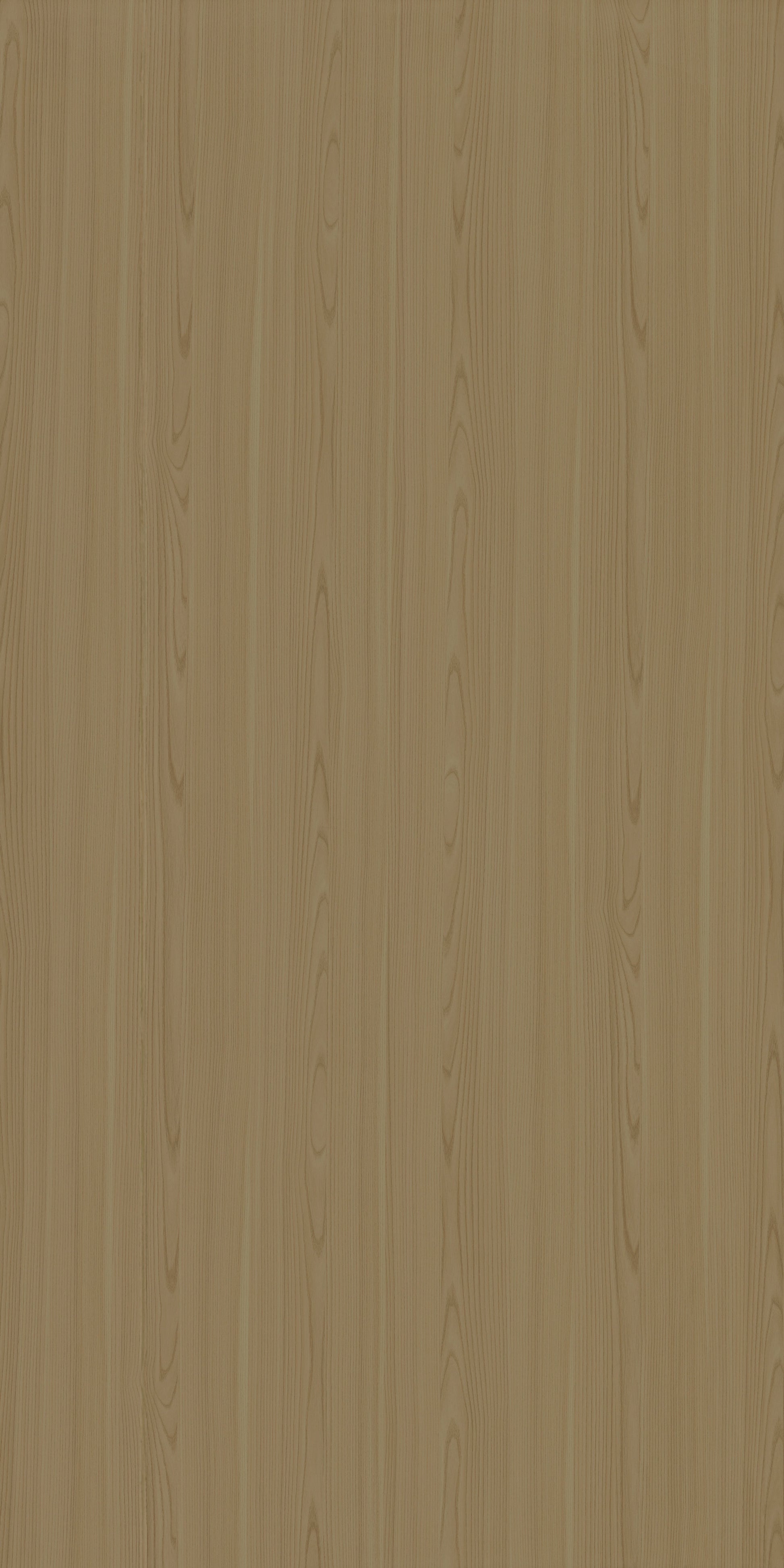 4155 RE48 DOUGLAS LIGHT Beige Wood Texture Laminate - AmulyaMica