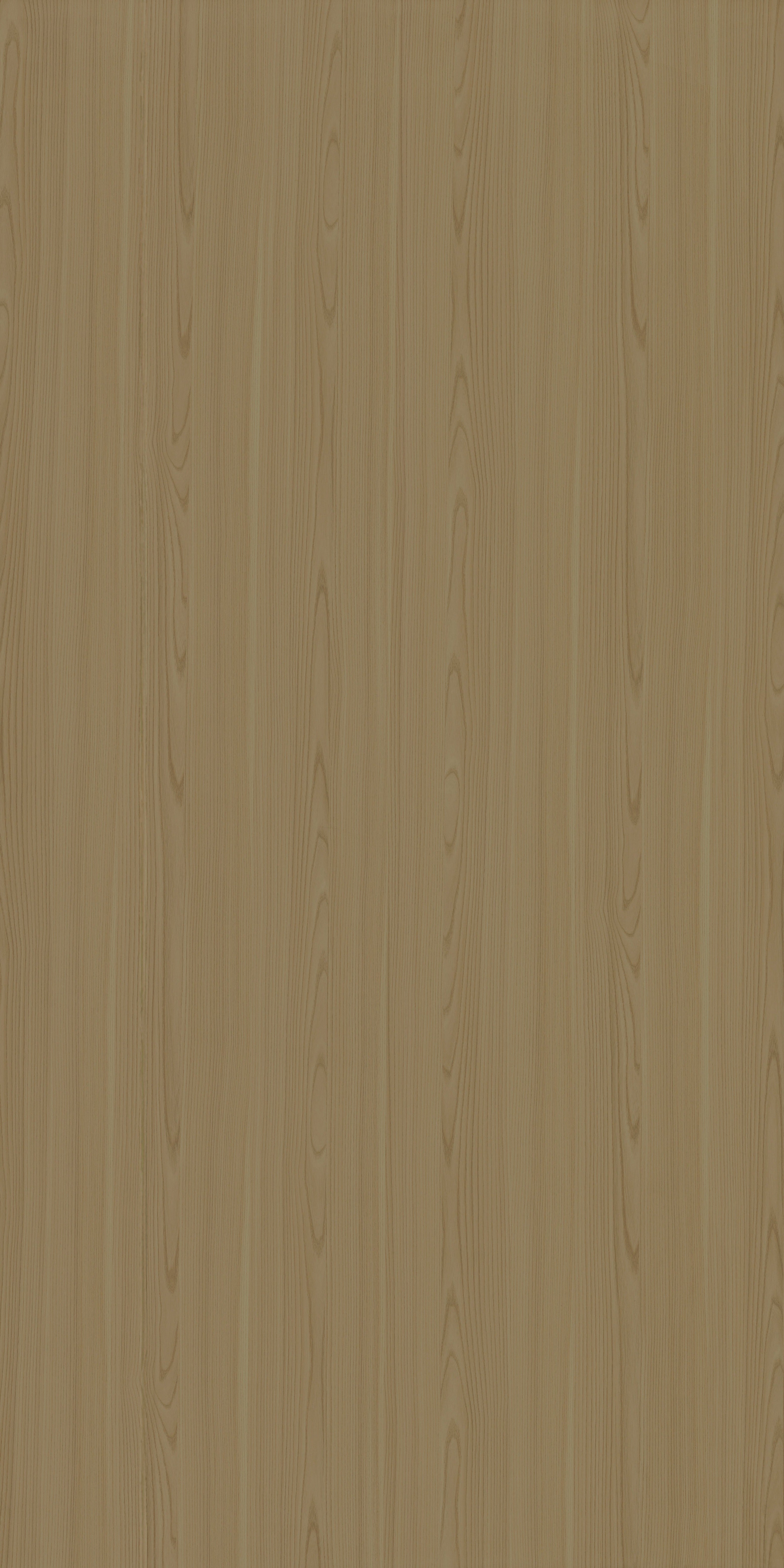 4155 RE48 DOUGLAS LIGHT Beige Wood Texture Laminate - AmulyaMica