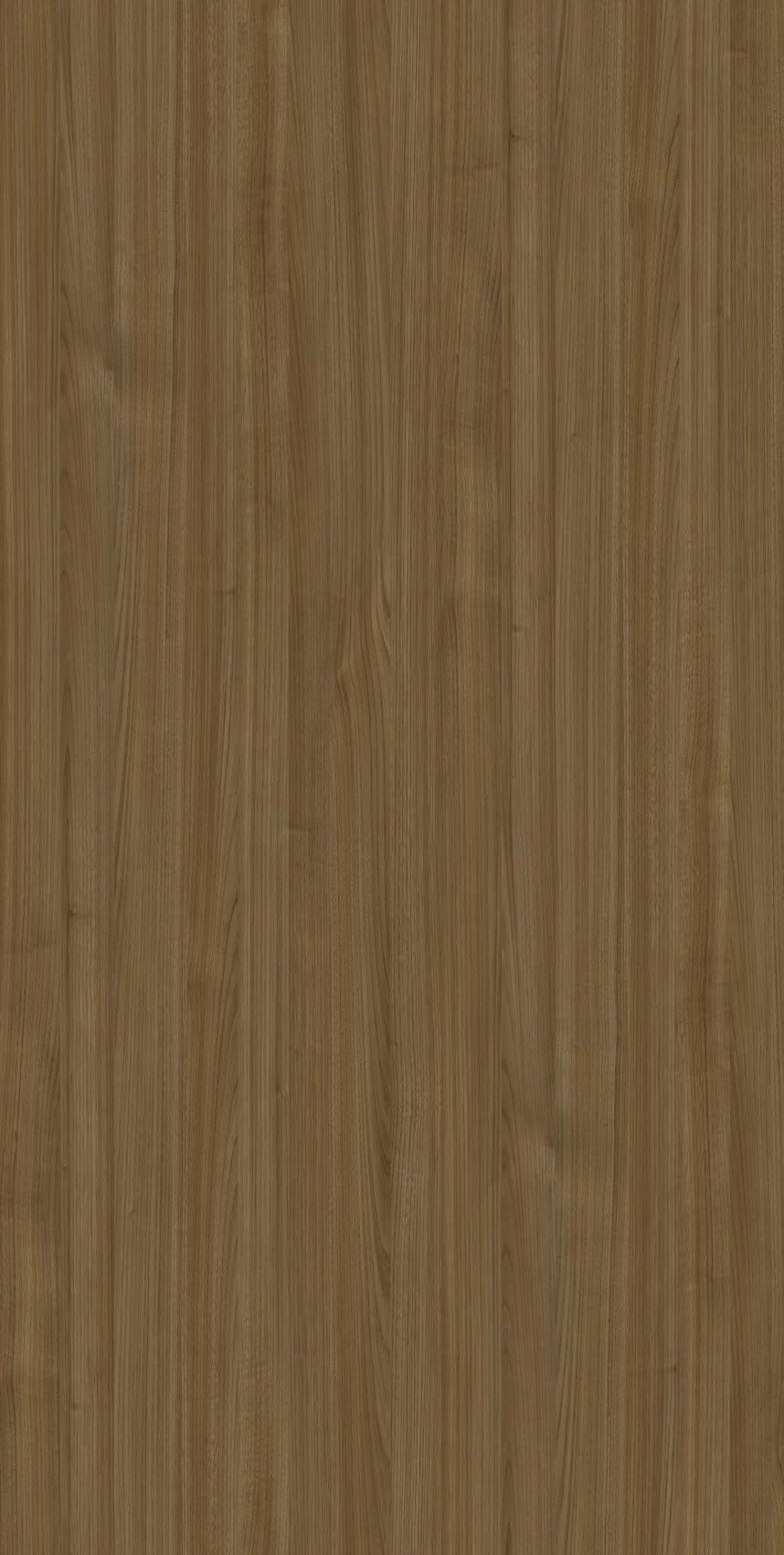 Elm Tizo Brown Wood Texture Laminate