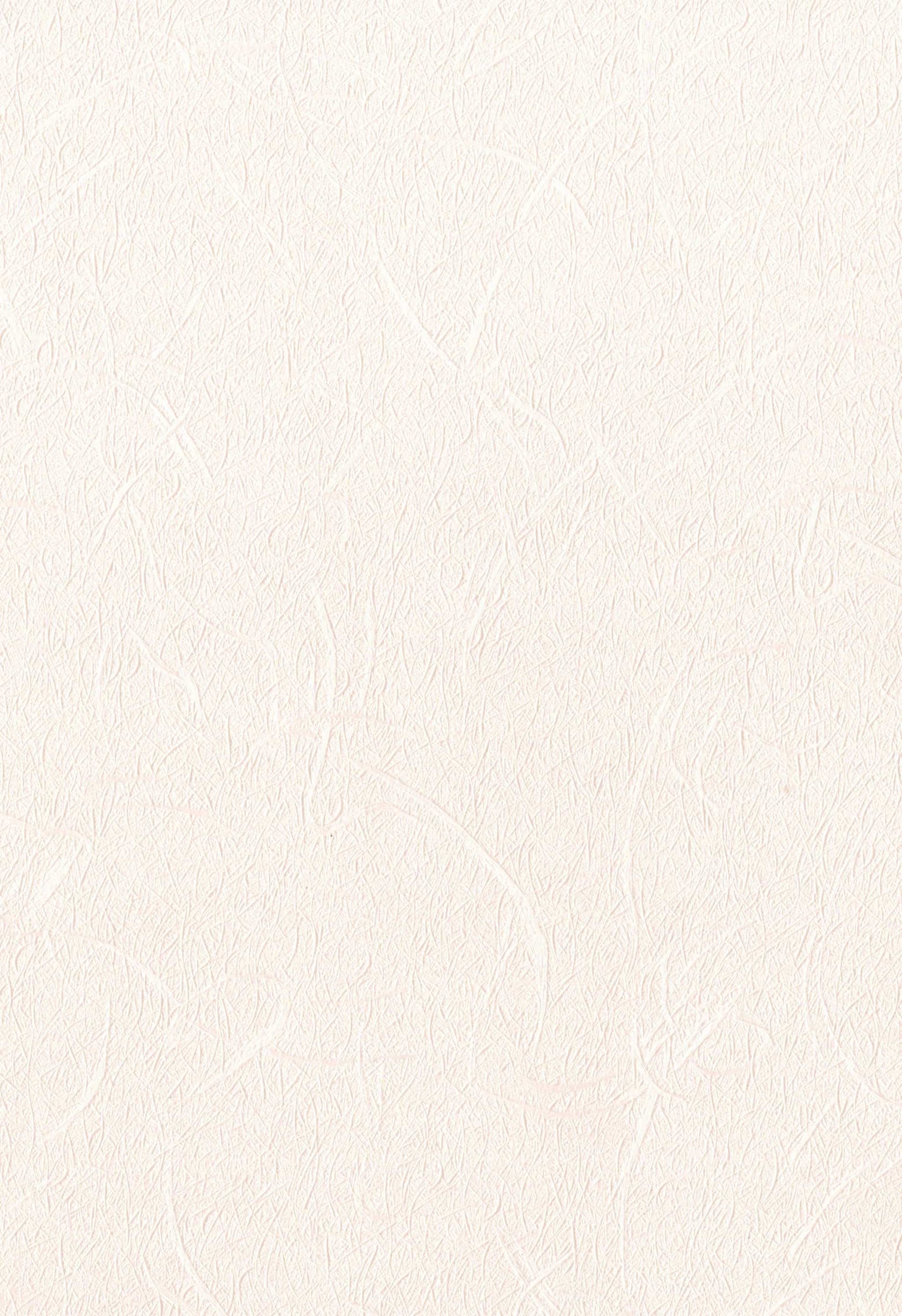 LX7038 Ivory Plain Colors Gloss Laminate - AmulyaMica