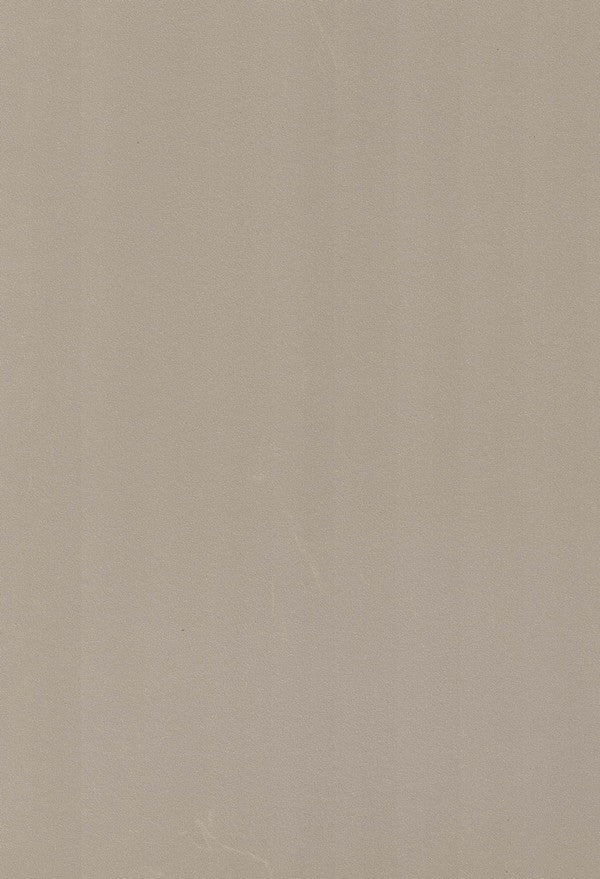 8190 LG TAN BROWN Beige Marble & Stone Gloss Laminate - AmulyaMica