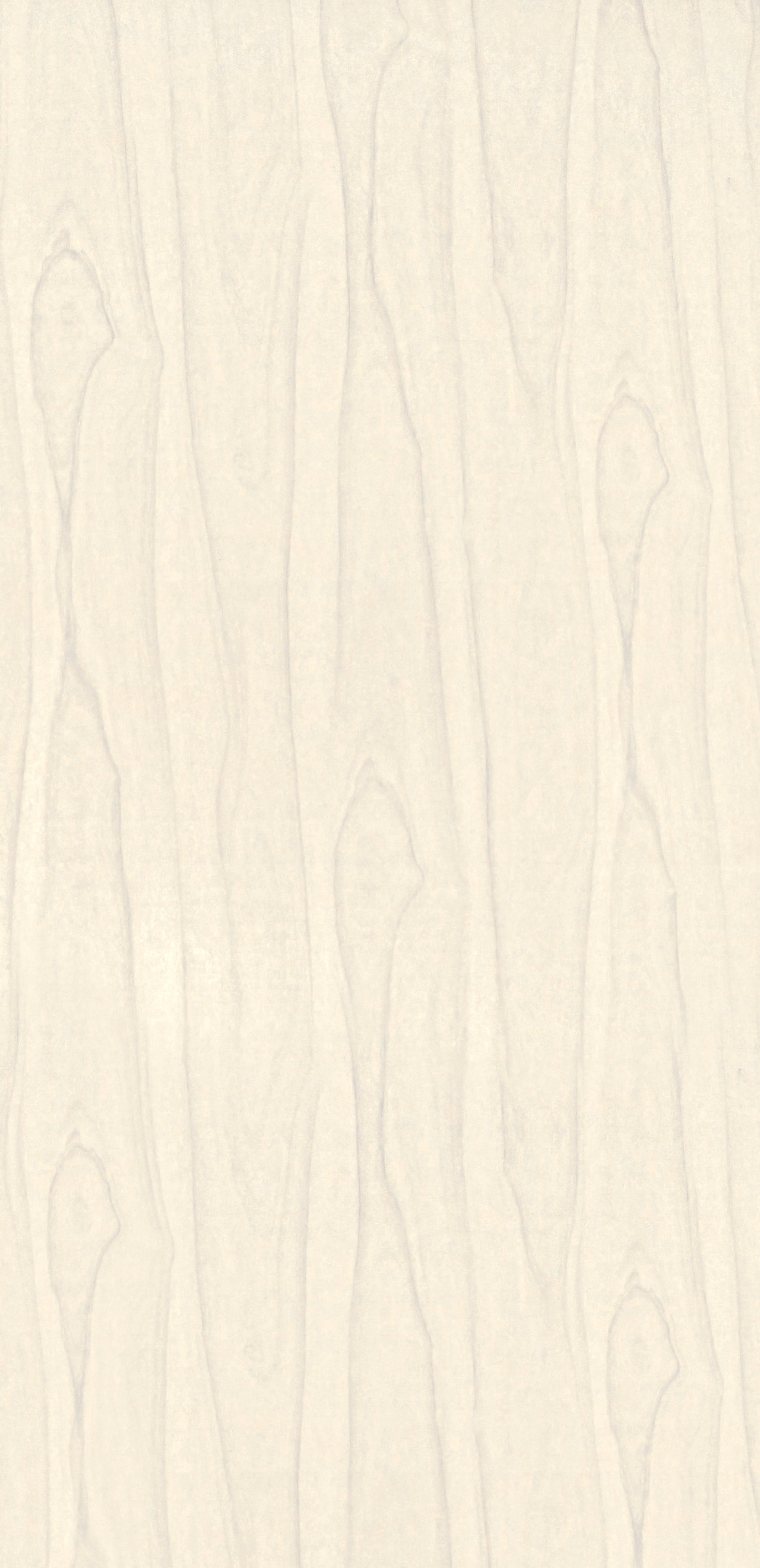 Amulya Mica Standard Laminates, 0.8mm 8632 LARC MONTANA WALNUT LIGHT Ivory Wood Gloss Laminate - AmulyaMica