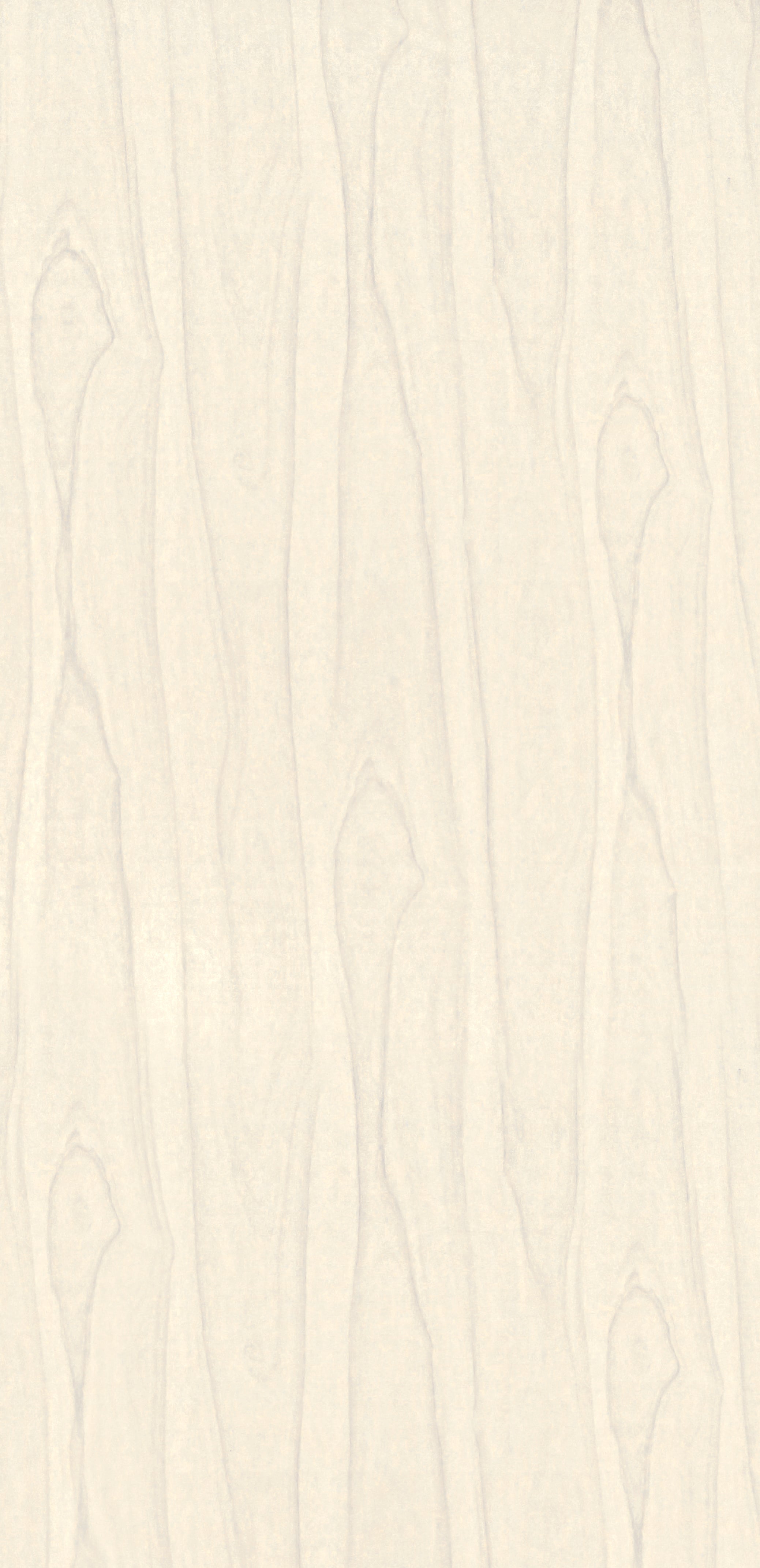 Amulya Mica Standard Laminates, 0.8mm 8632 LARC MONTANA WALNUT LIGHT Ivory Wood Gloss Laminate - AmulyaMica