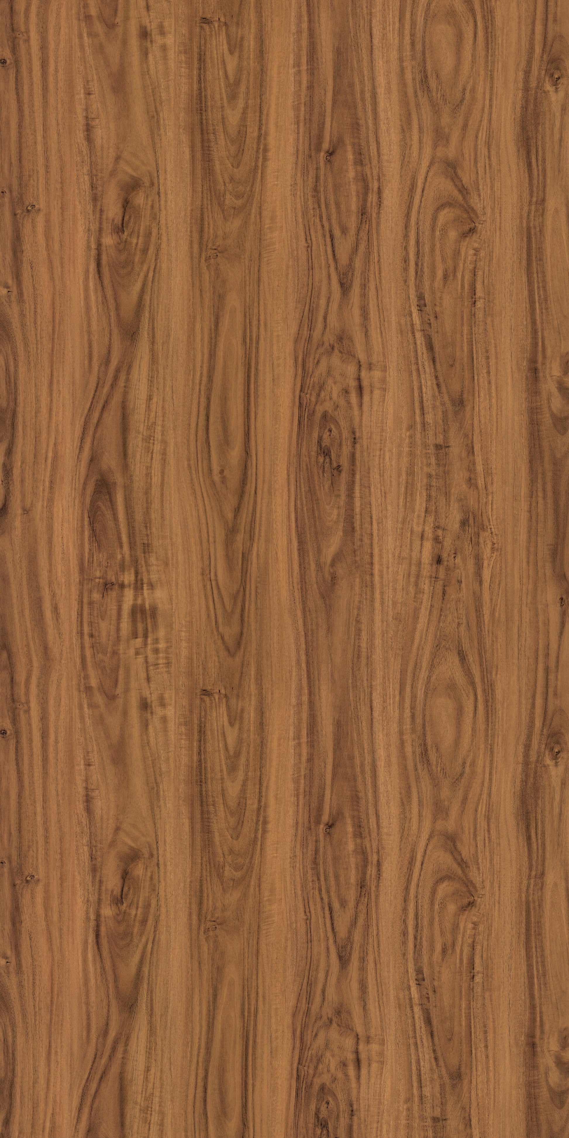 8882 AFT LAVITO WALNUT Brown Wood Gloss Laminate - AmulyaMica