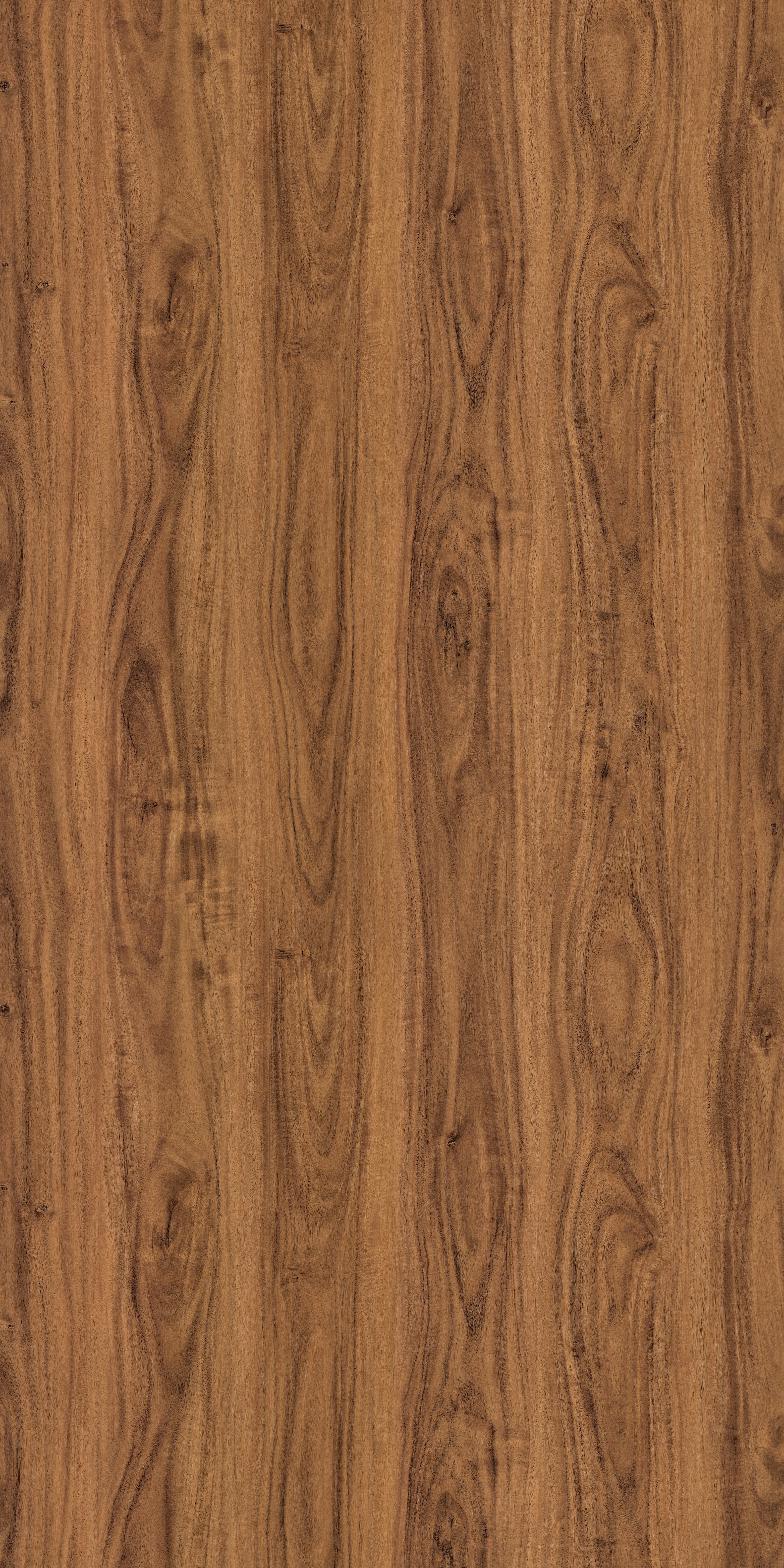 8882 AFT LAVITO WALNUT Brown Wood Gloss Laminate - AmulyaMica
