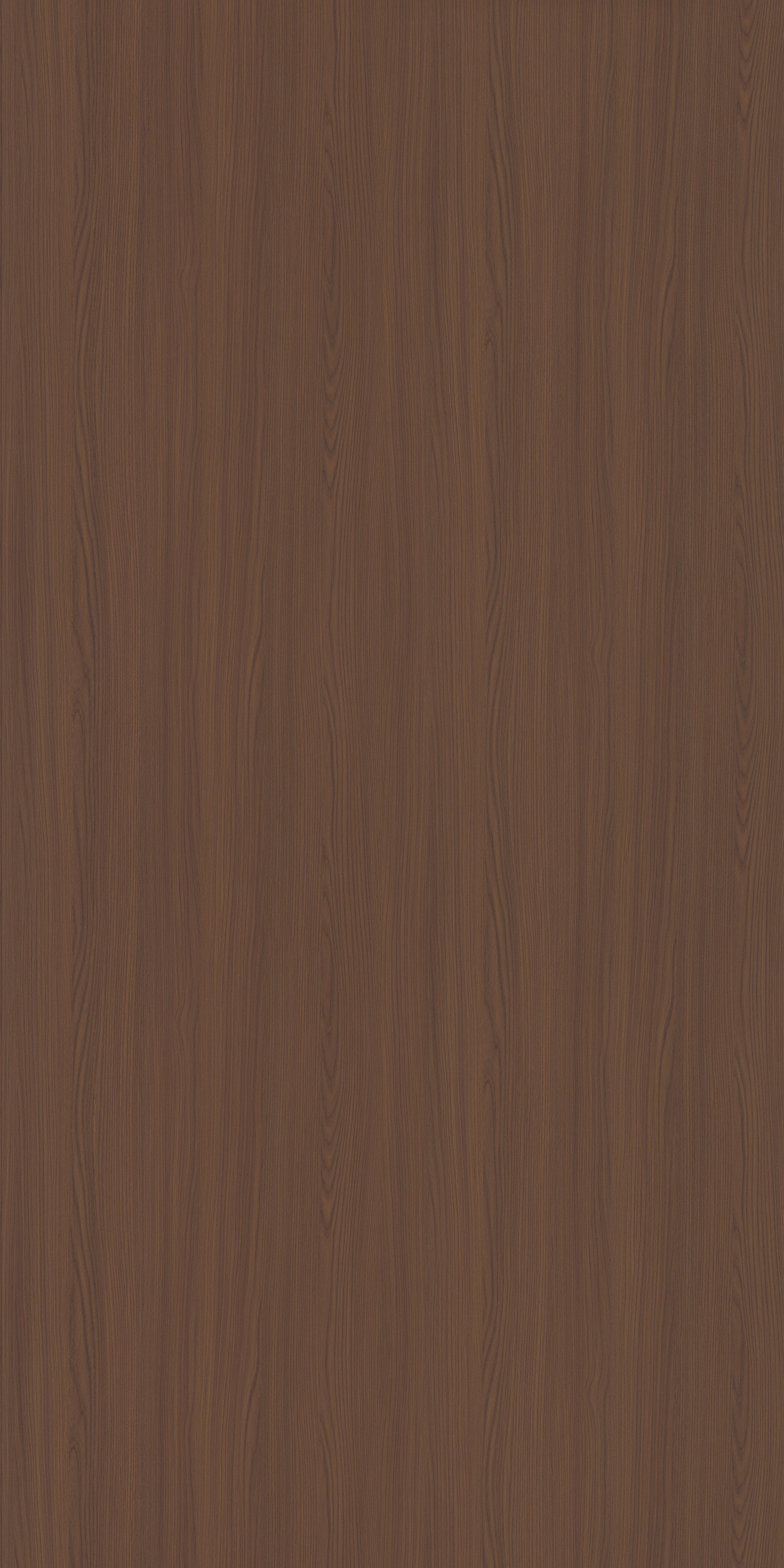 8902 HGF RADIATA PINE II Brown Wood High Gloss Laminate - AmulyaMica