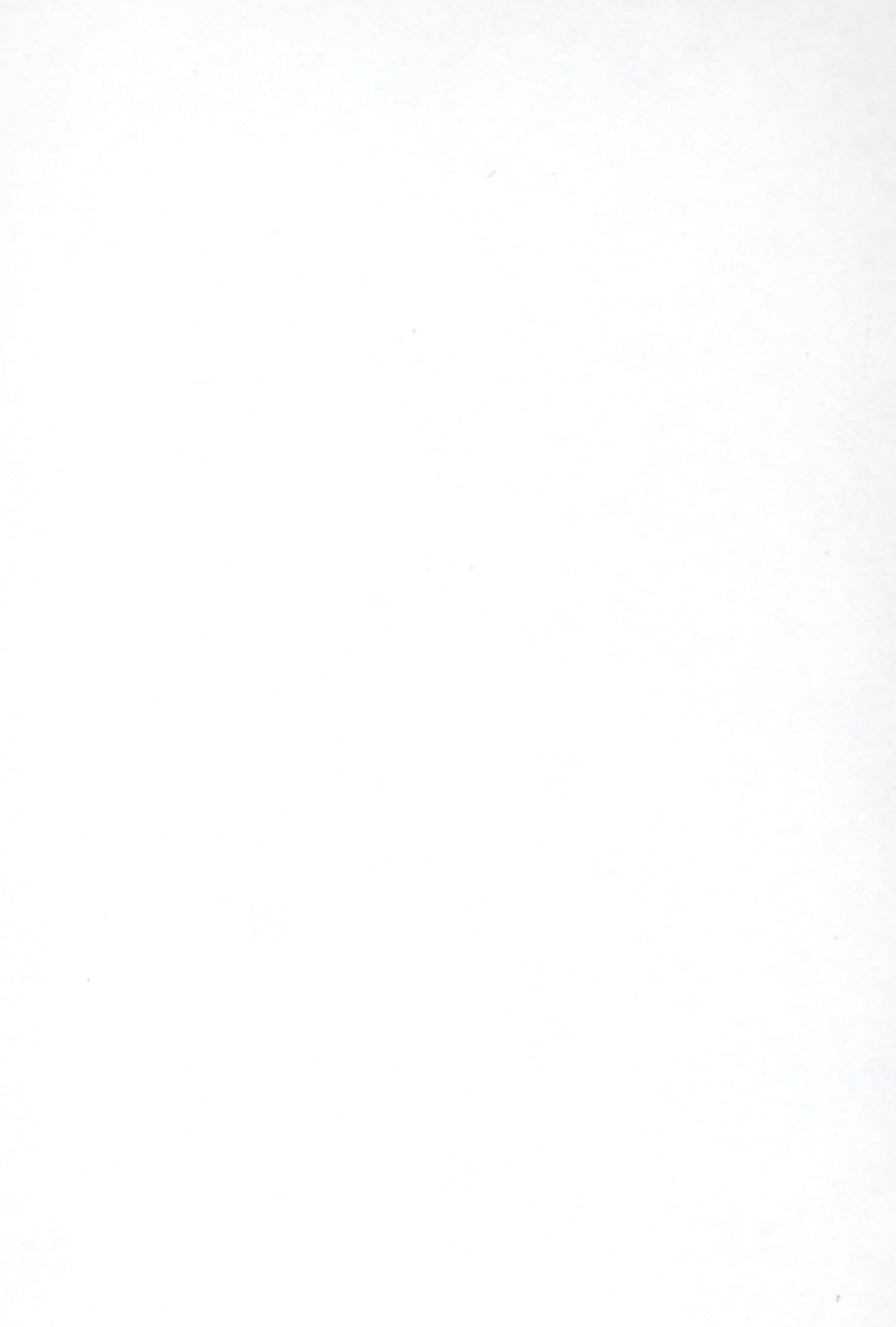 DL 002 SF OFF-WHITE White Fabric Suede Laminate - AmulyaMica
