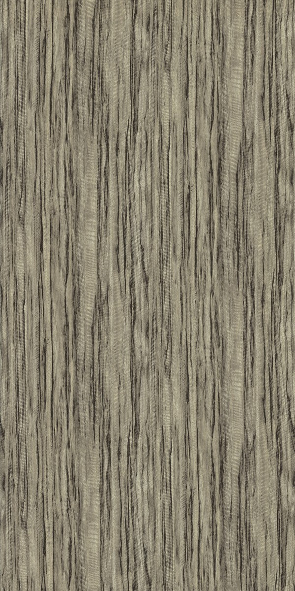 E138 ZW JACKPOT LIMBA LIGHT Grey Wood Gloss Laminate - AmulyaMica