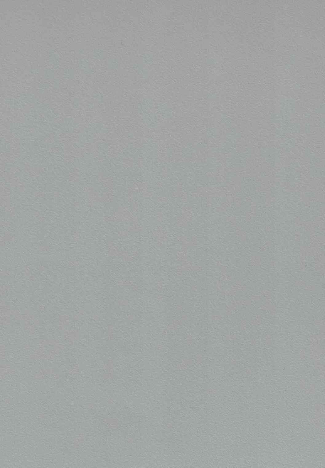 EX 1204 SF DOVE GREY Grey Plain Colors Suede Laminate - AmulyaMica