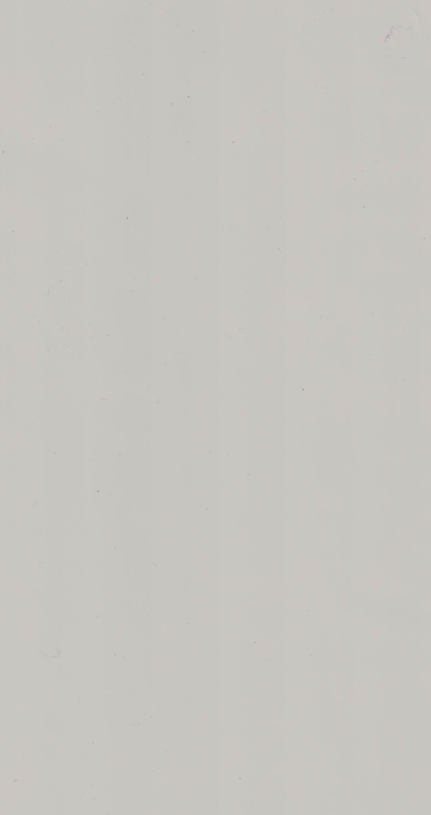LX1031 Grey Plain Colors Gloss Laminate - AmulyaMica